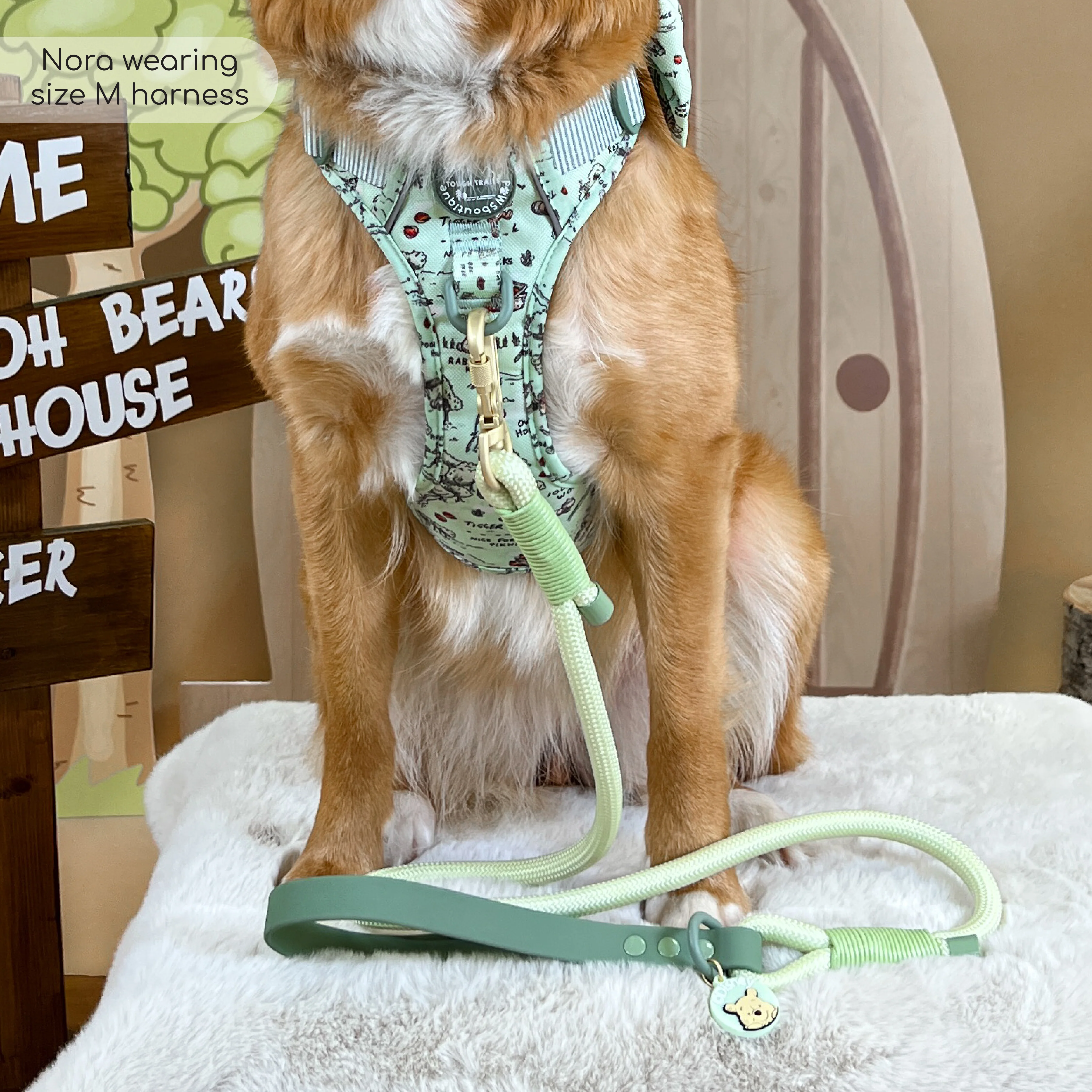 Disney© 4ft Rope Lead - 100 Aker Wood - Light and Dark Green - Image 9