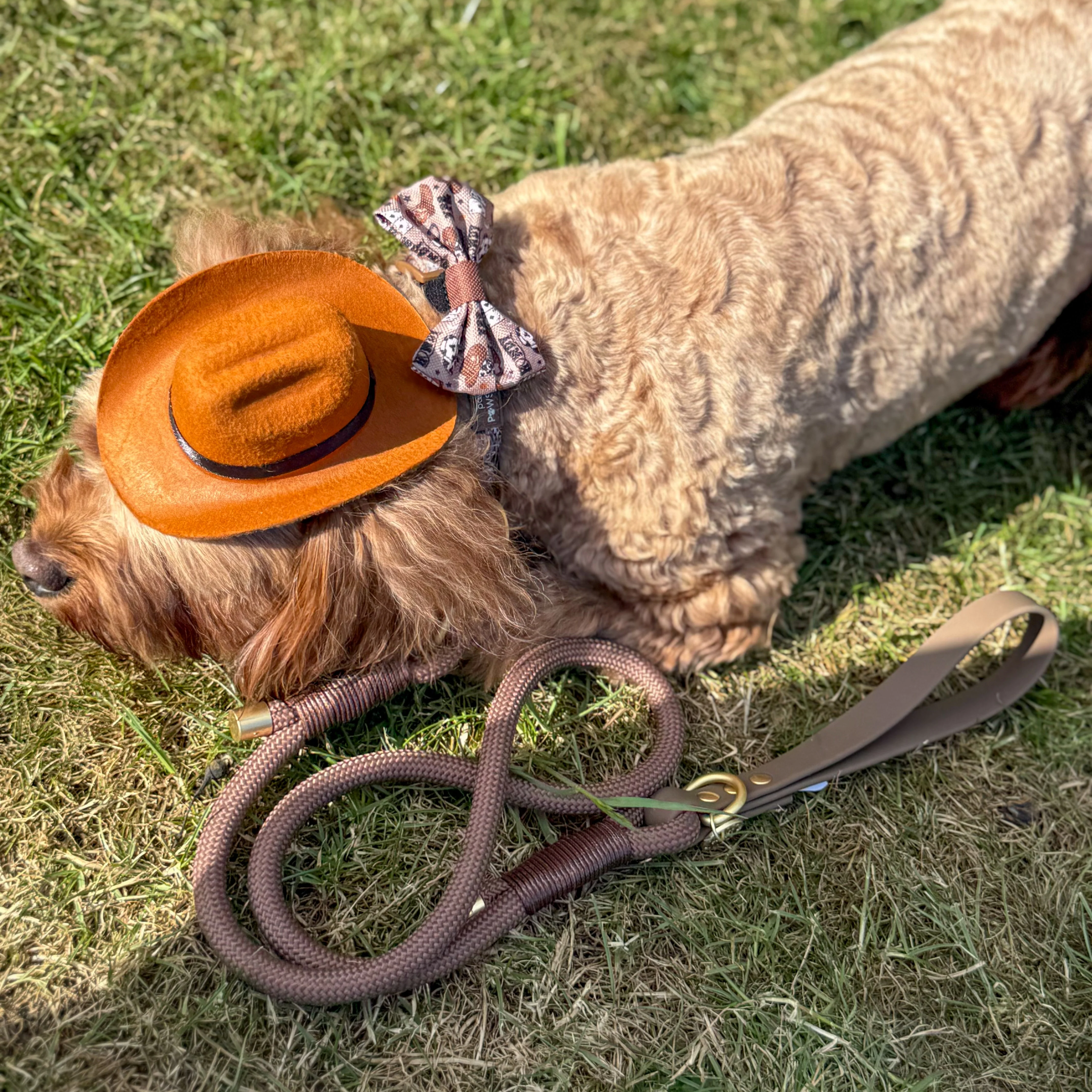 4ft Rope Lead - Brown - Image 5