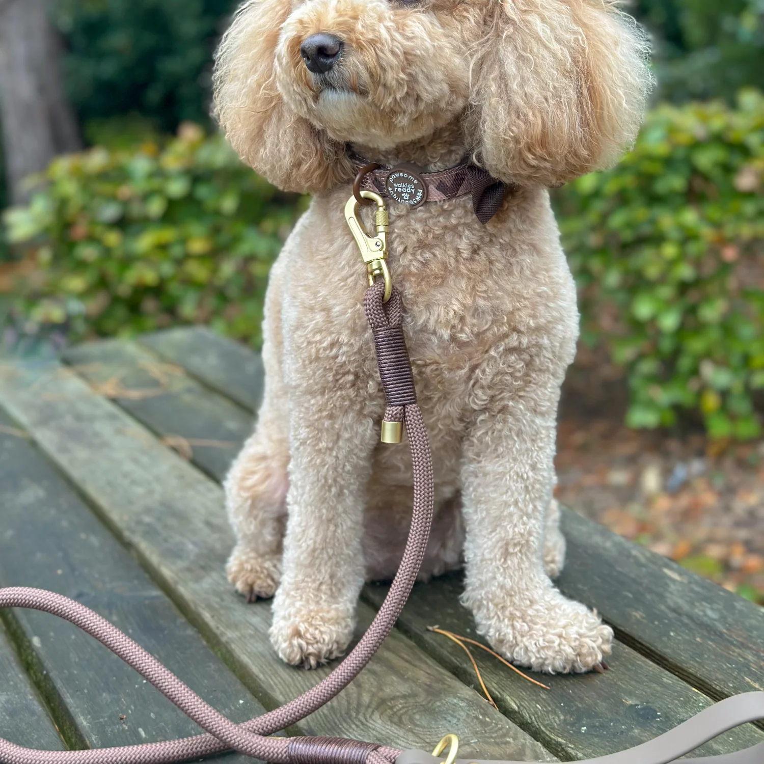 4ft Rope Lead - Brown - Image 7
