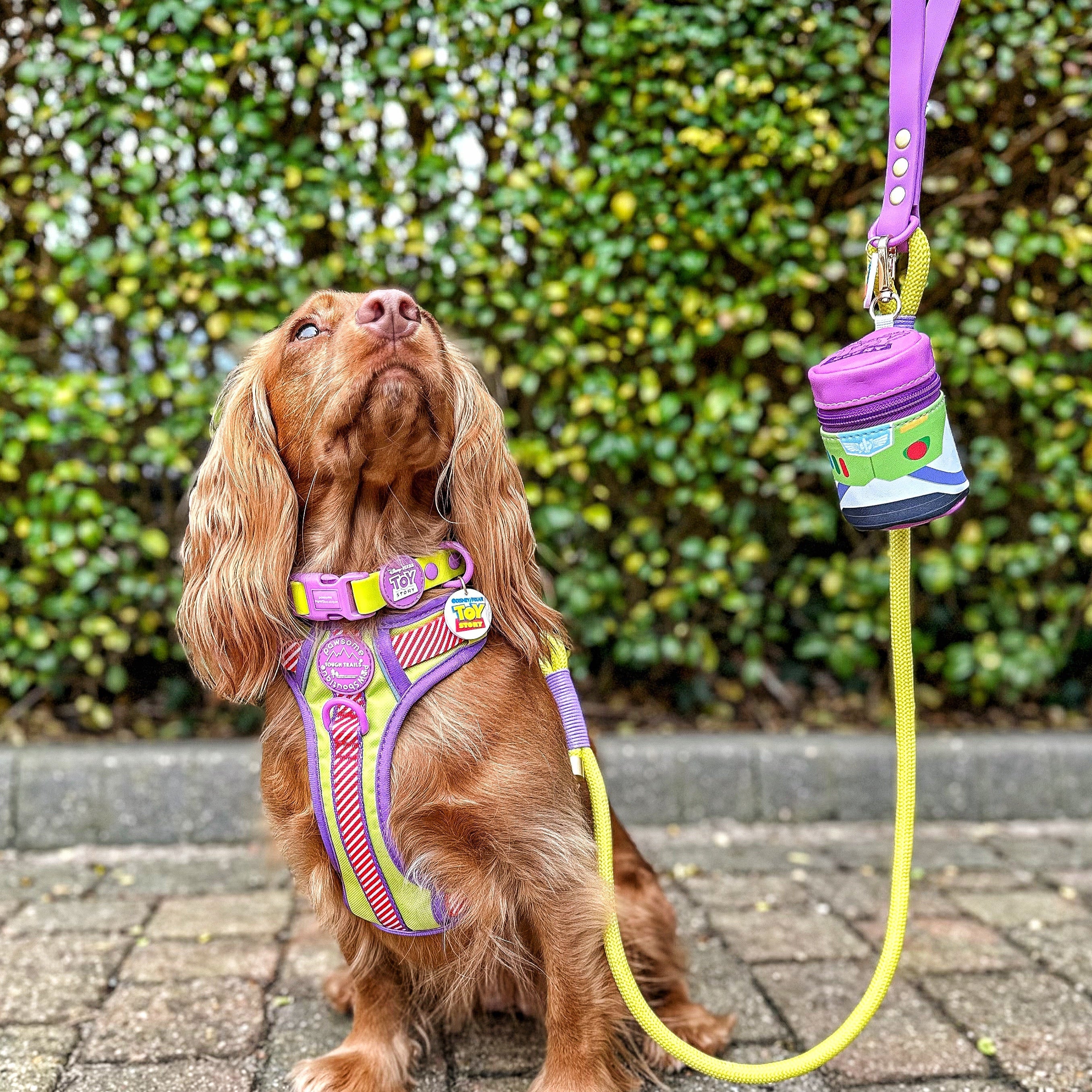 Disney© 4ft Rope Lead - Buzz Lightyear - Image 4