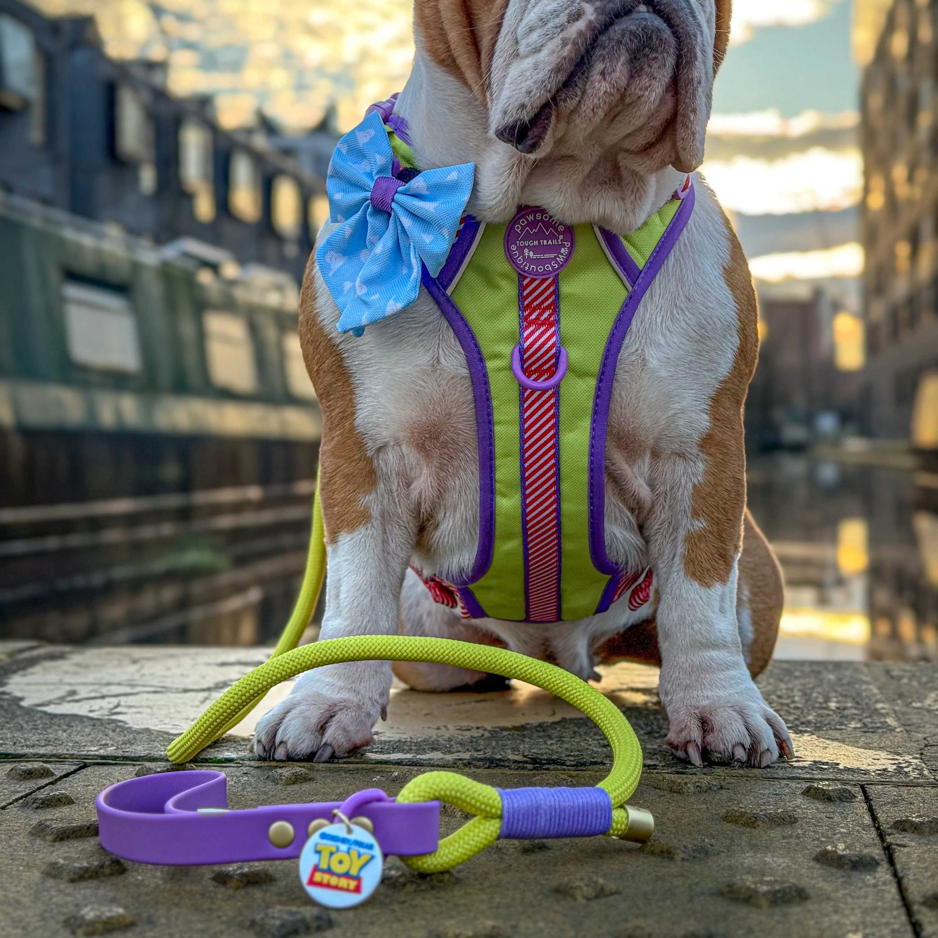 Disney© 4ft Rope Lead - Buzz Lightyear - Image 6