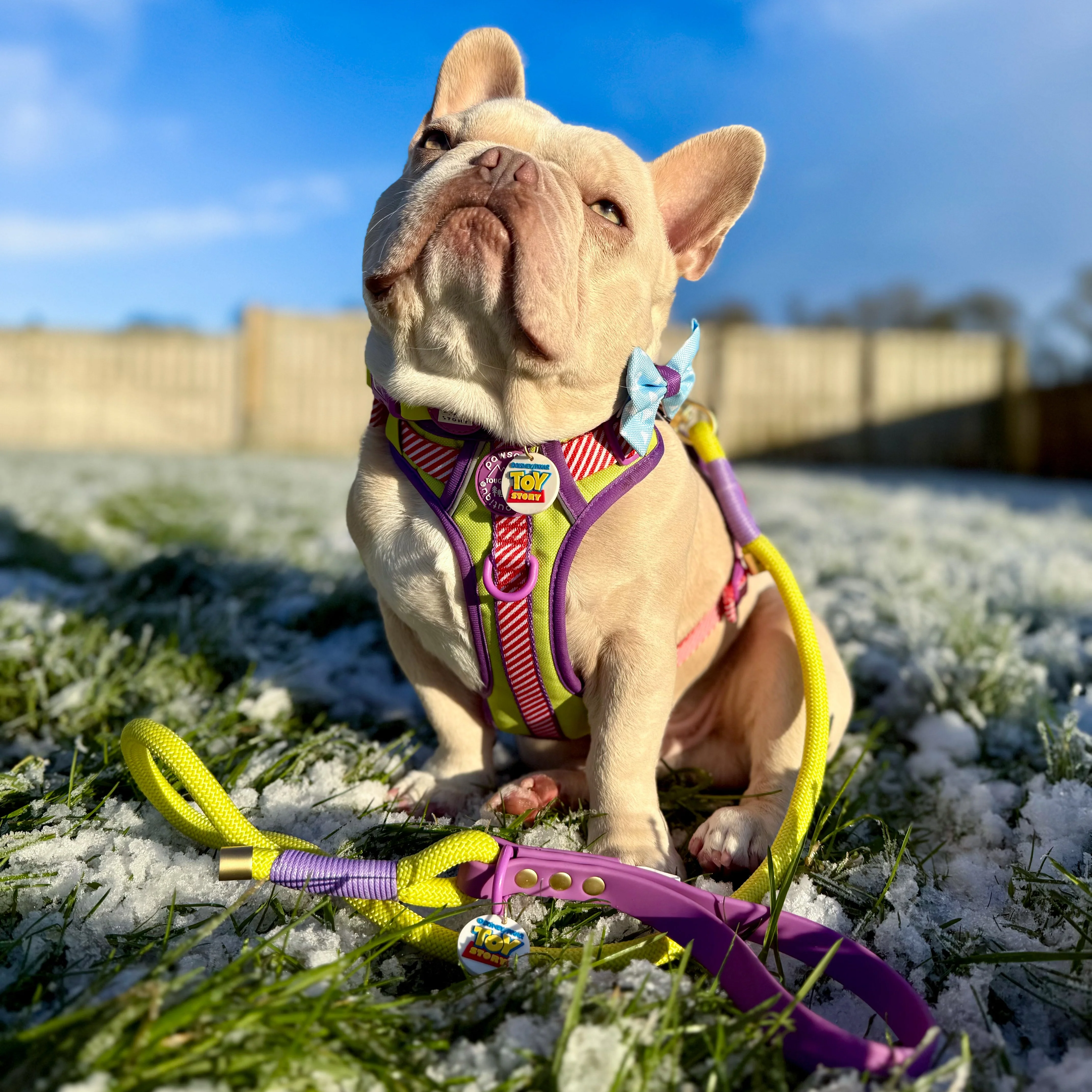 Disney© 4ft Rope Lead - Buzz Lightyear - Image 7