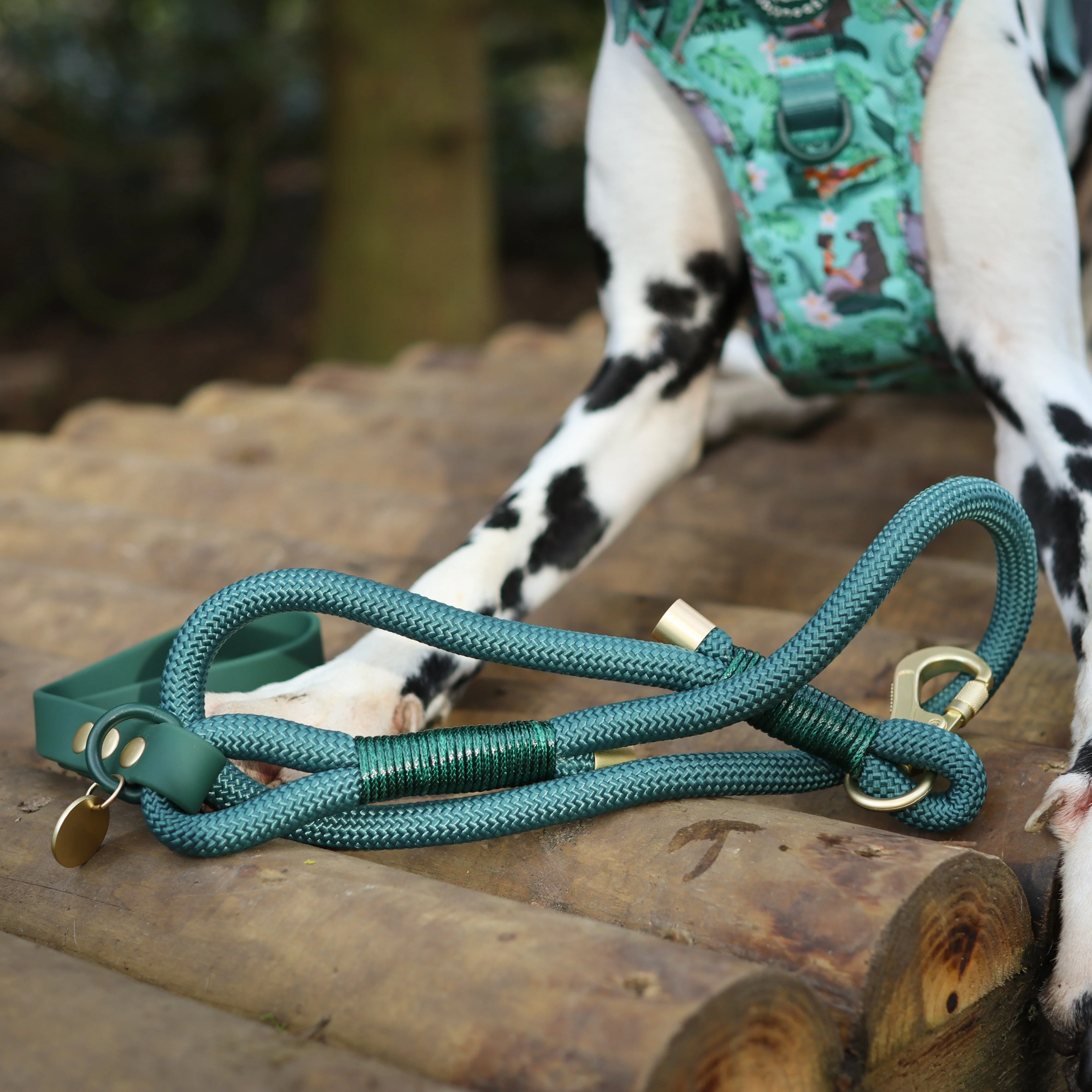 Disney© 4ft Rope Lead - Jungle Book - Image 9
