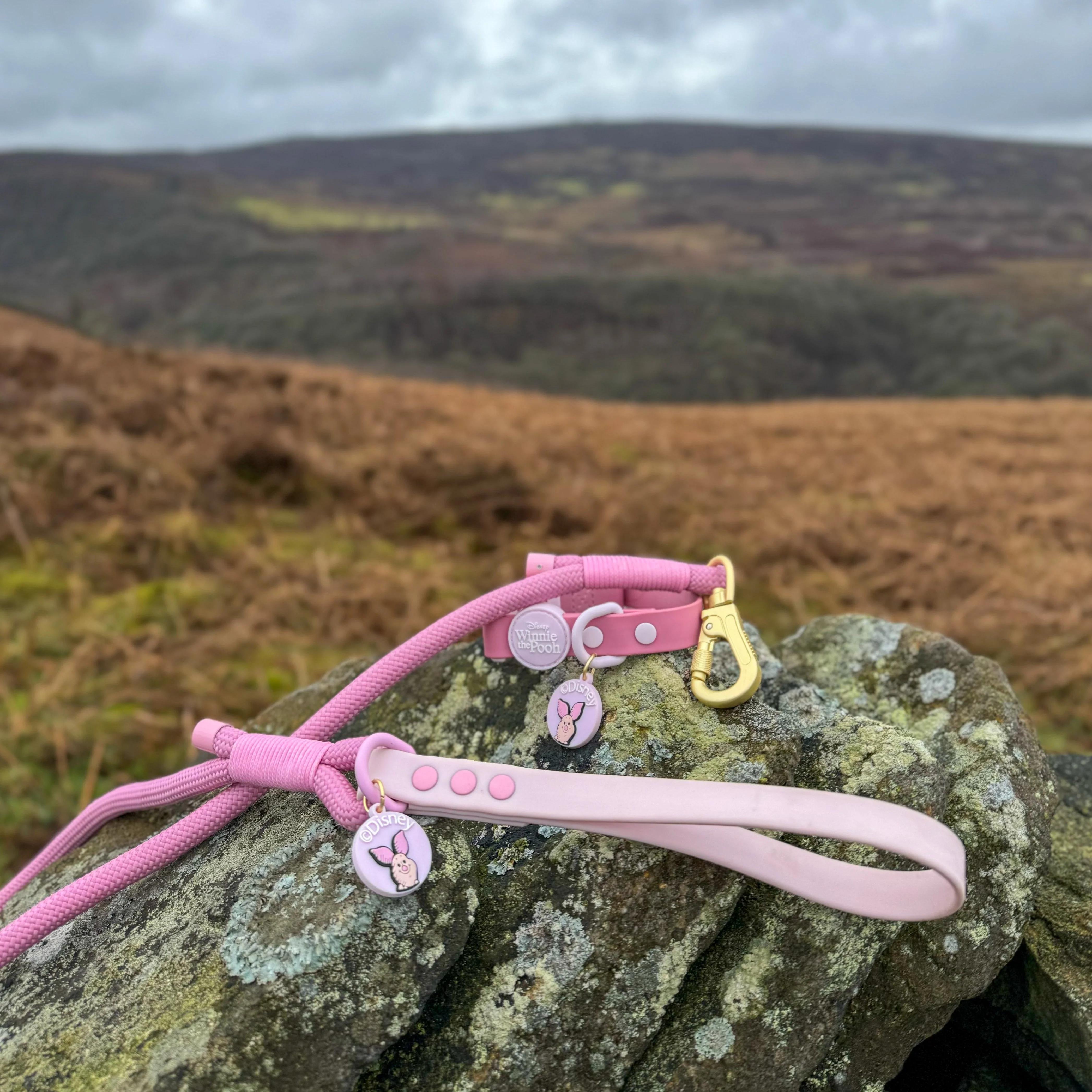 Disney© 4ft Rope Lead - Piglet - Pink - Image 10
