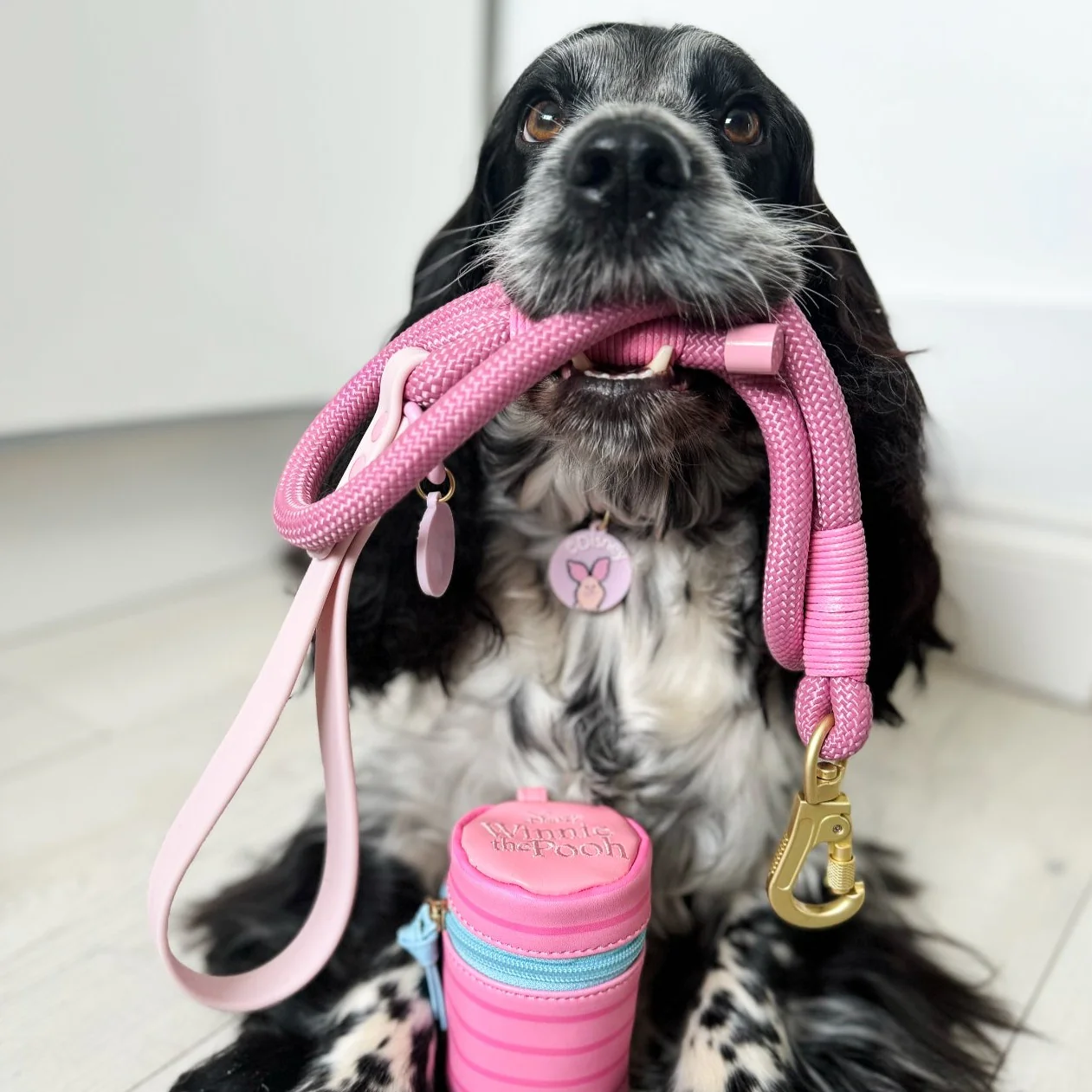 Disney© 4ft Rope Lead - Piglet - Pink - Image 14