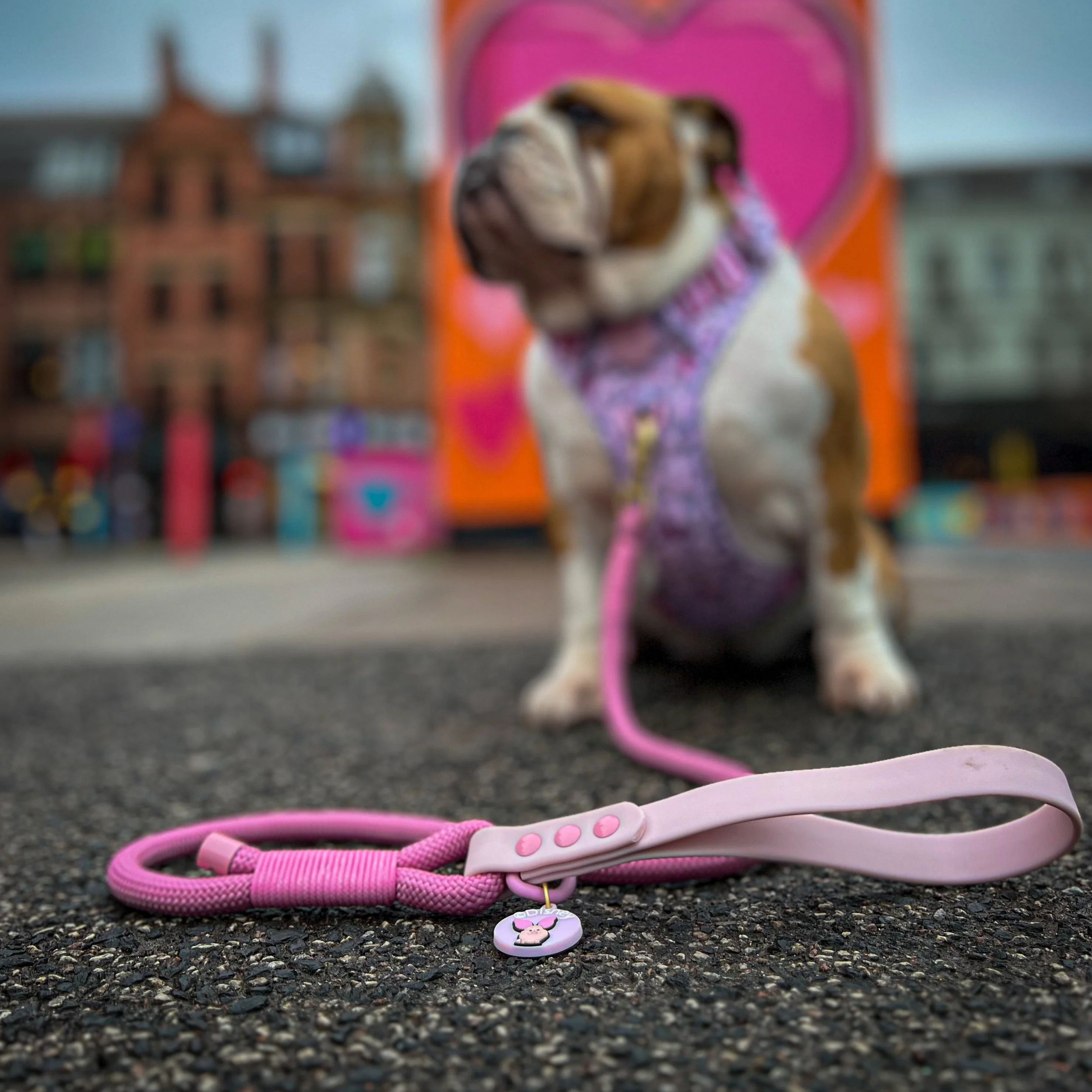Disney© 4ft Rope Lead - Piglet - Pink - Image 20