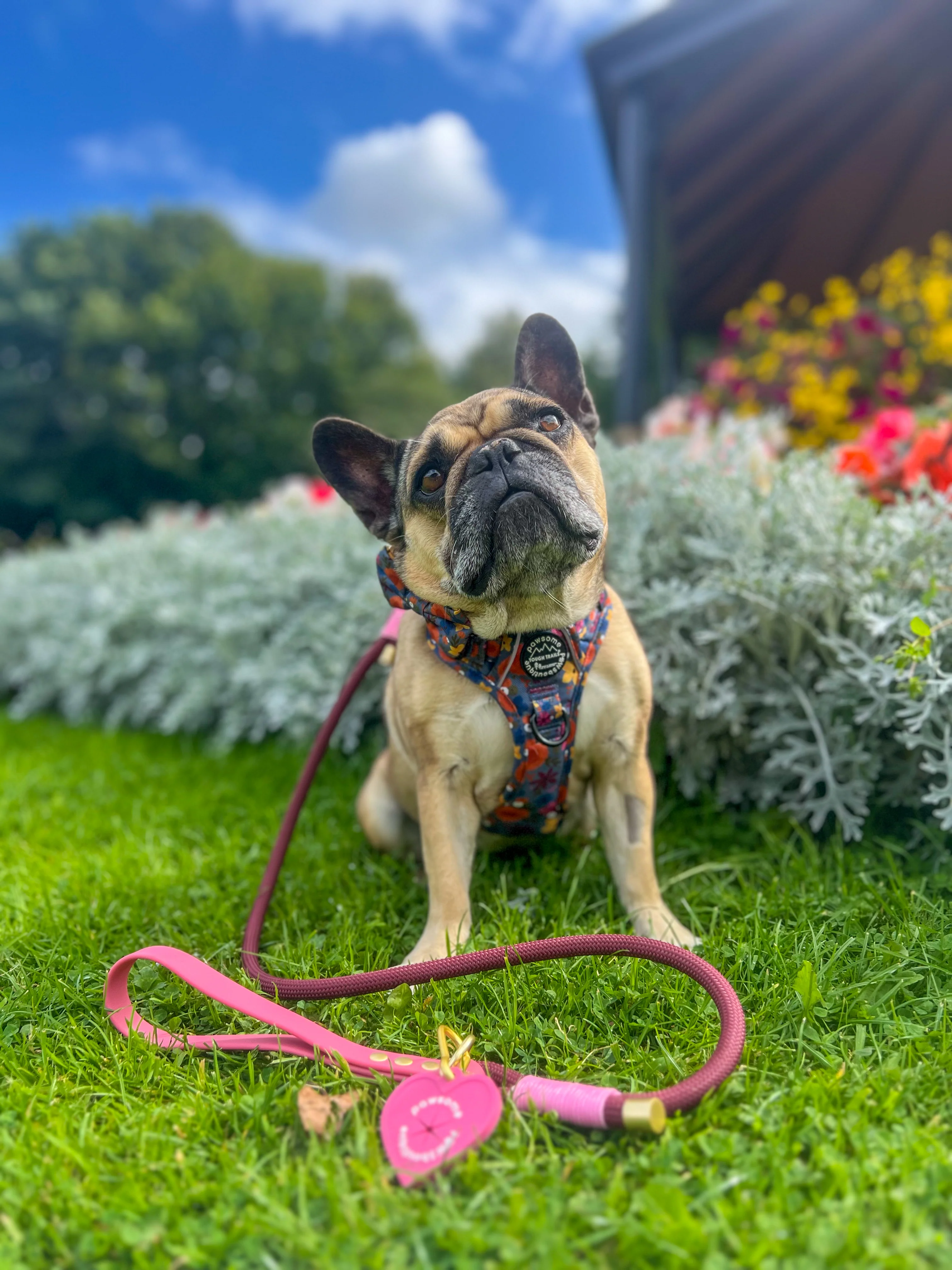 4ft Rope Lead - Mulberry - Image 8