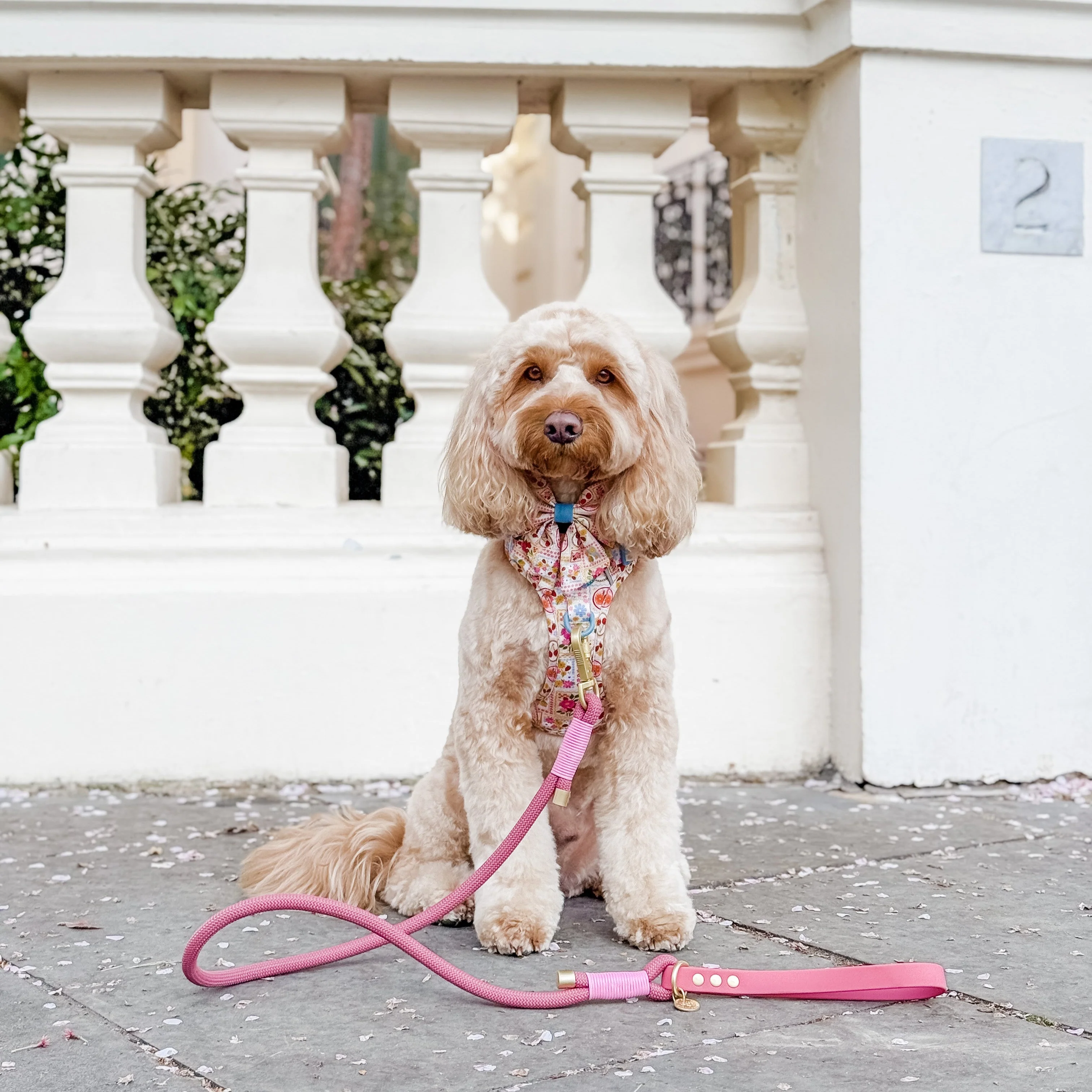 4ft Rope Lead - Pretty Pink - Image 12