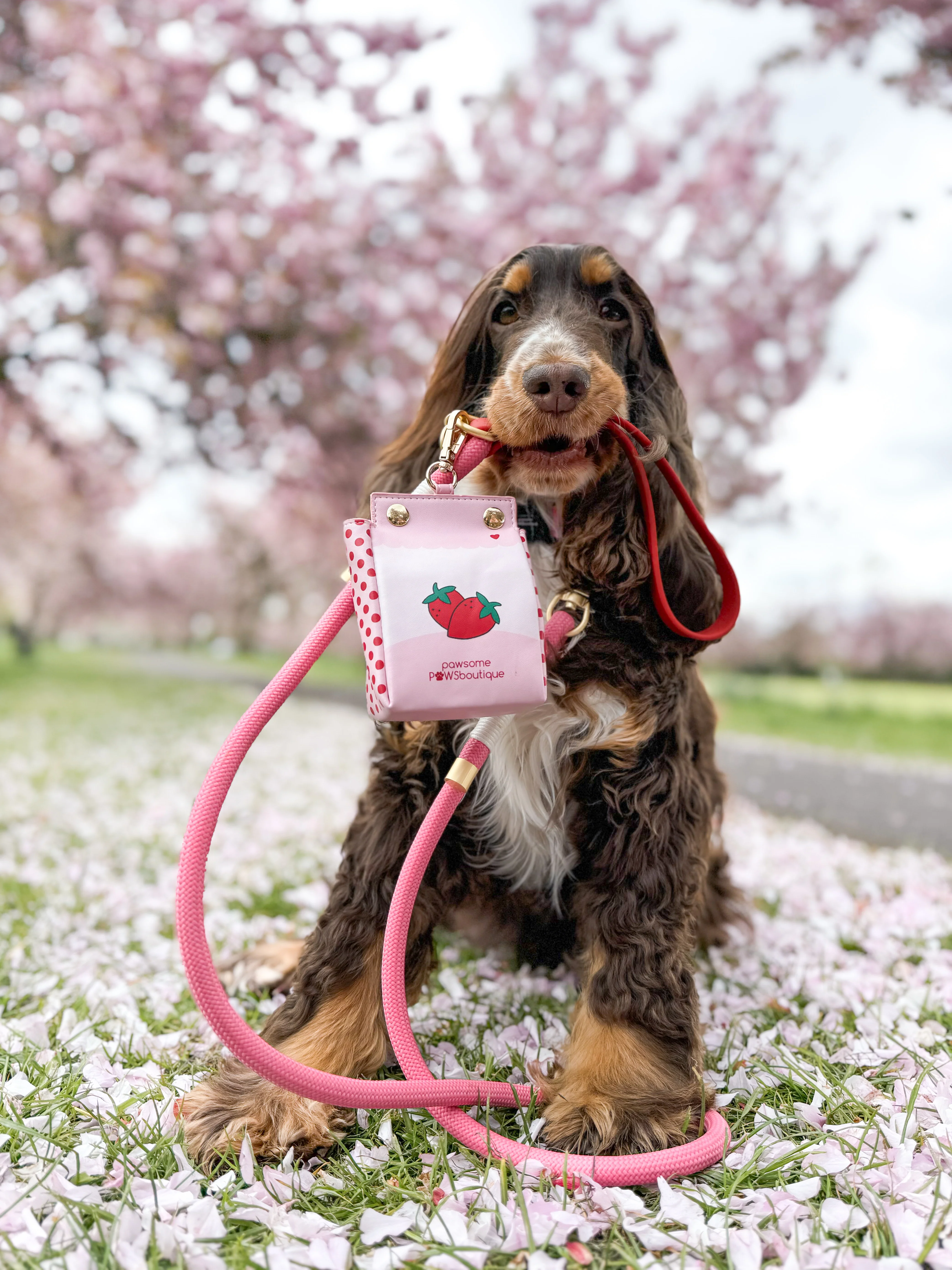 4ft Rope Lead - Red + Pink - Image 5