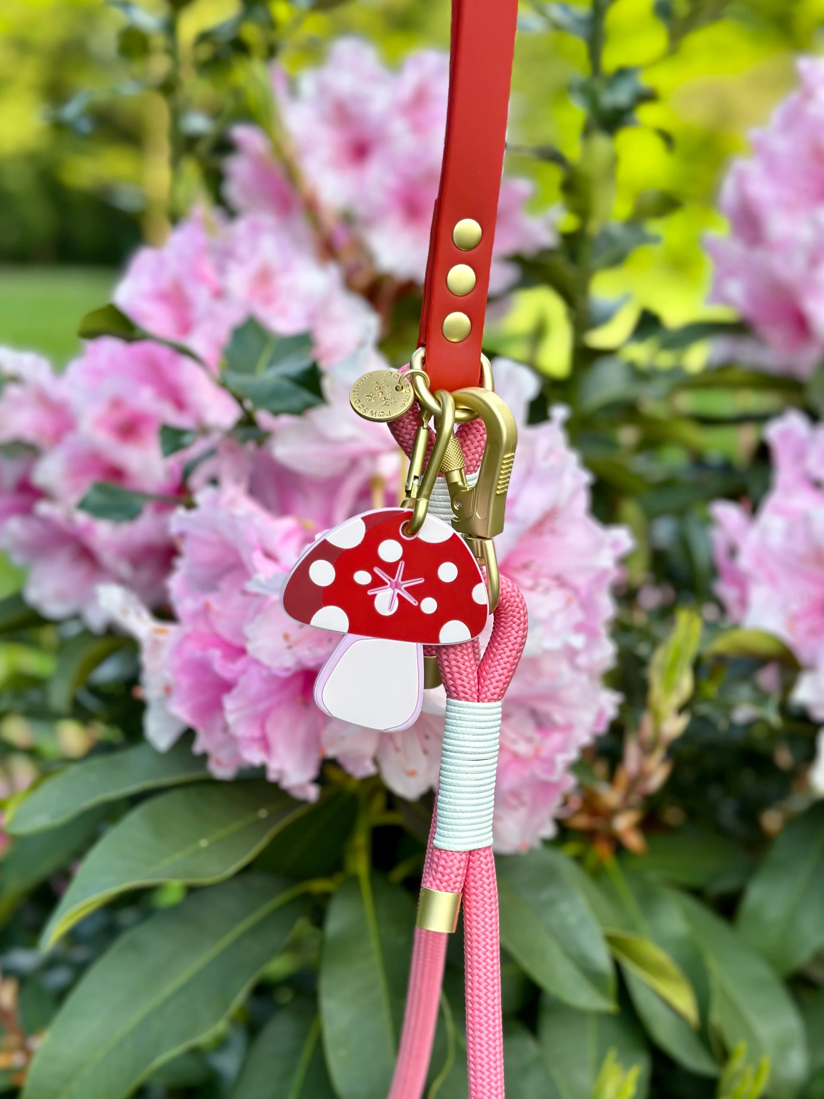 4ft Rope Lead - Red + Pink - Image 6