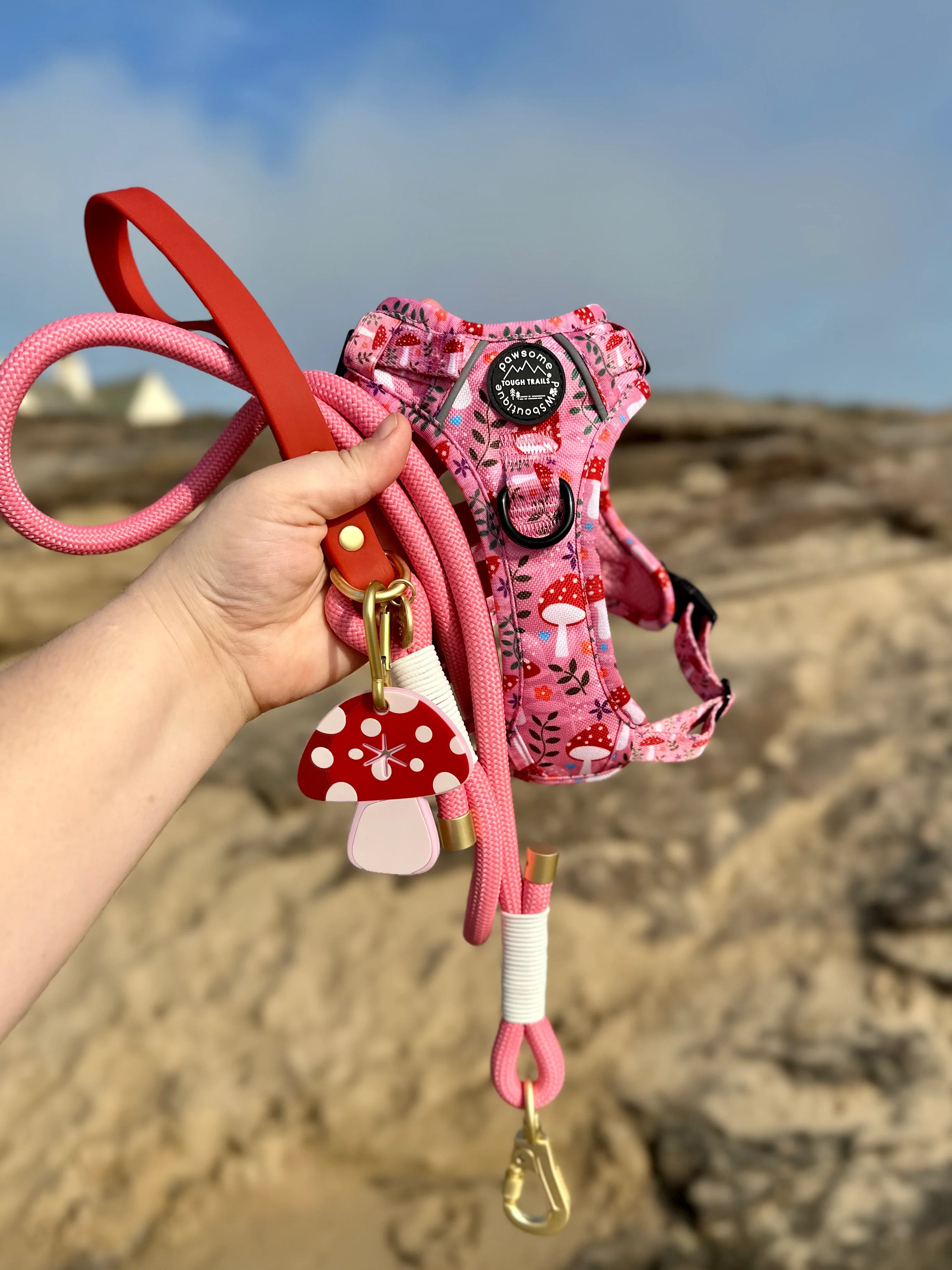 4ft Rope Lead - Red + Pink - Image 7