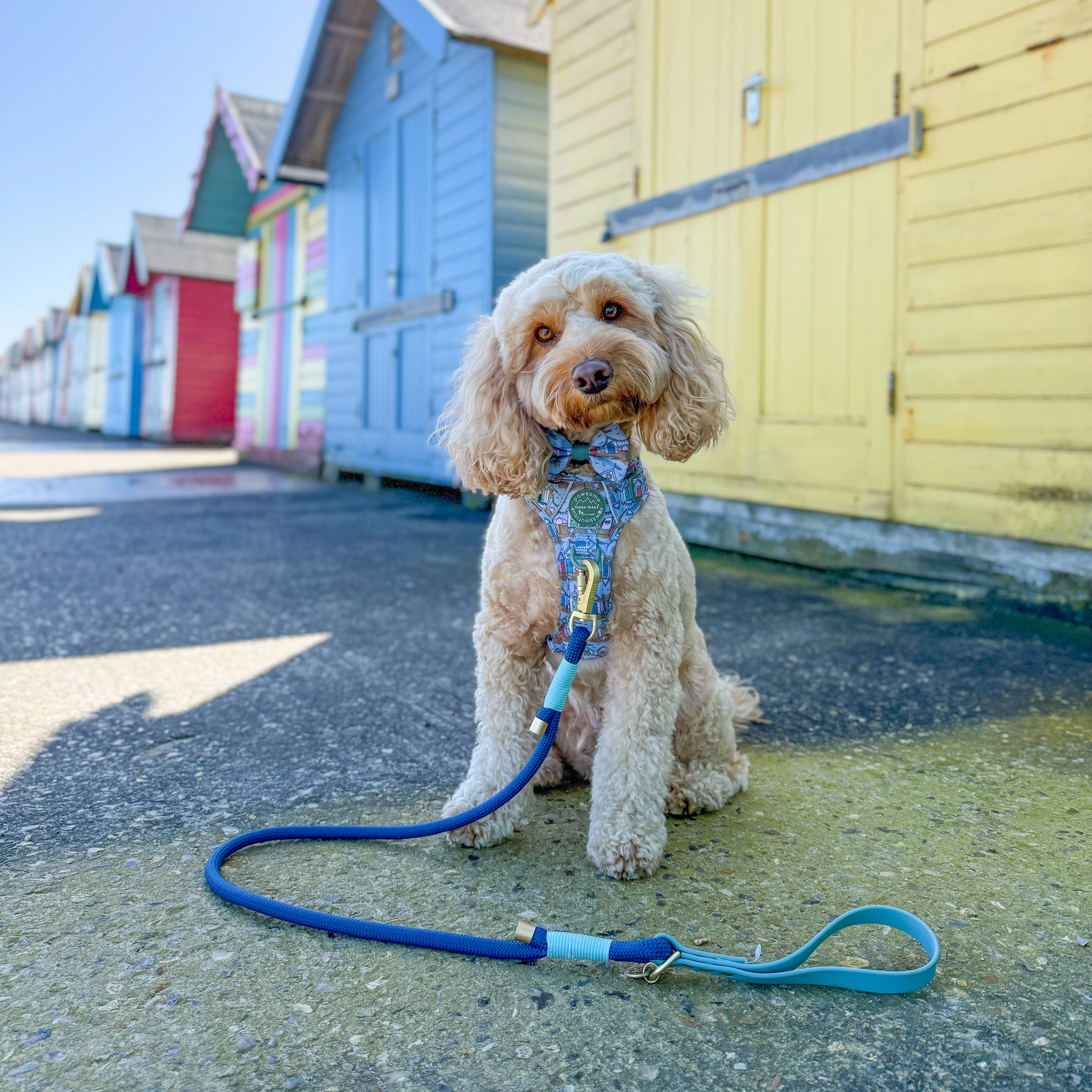 4ft Rope Lead - Royal Blue - Image 10