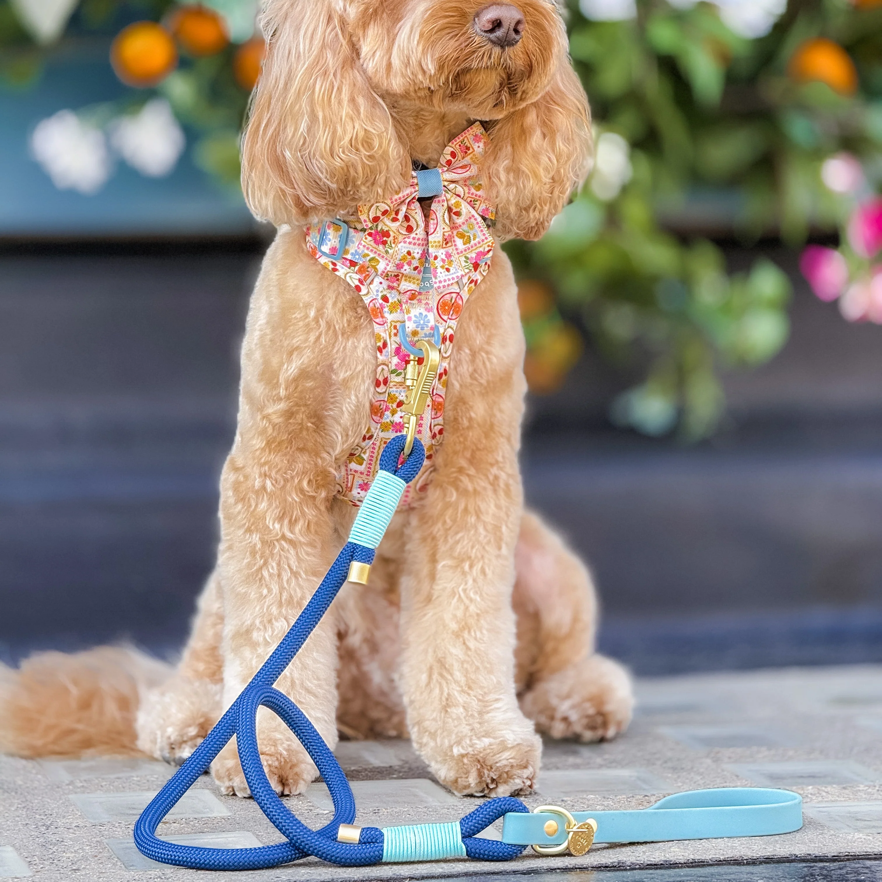 4ft Rope Lead - Royal Blue - Image 5