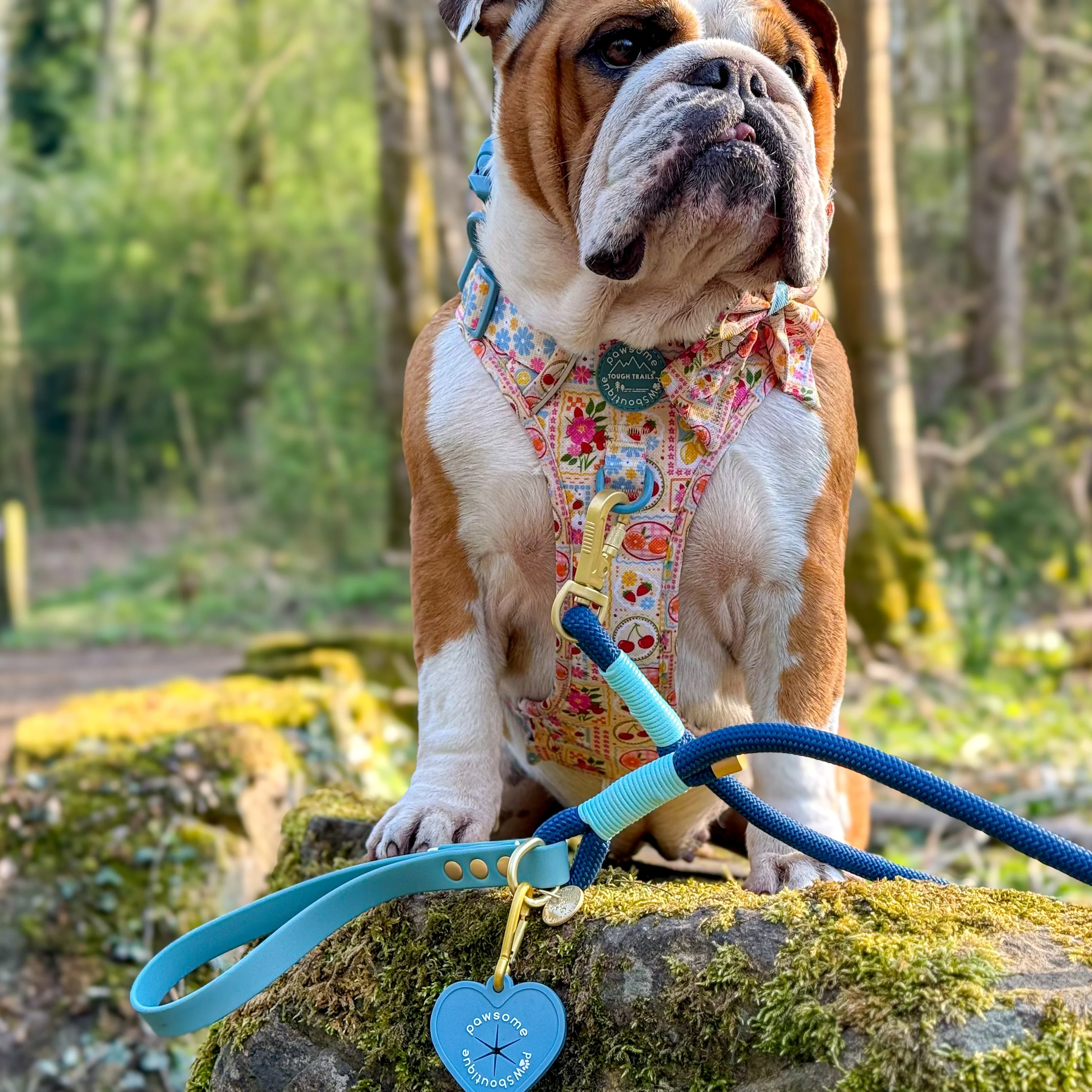 4ft Rope Lead - Royal Blue - Image 9