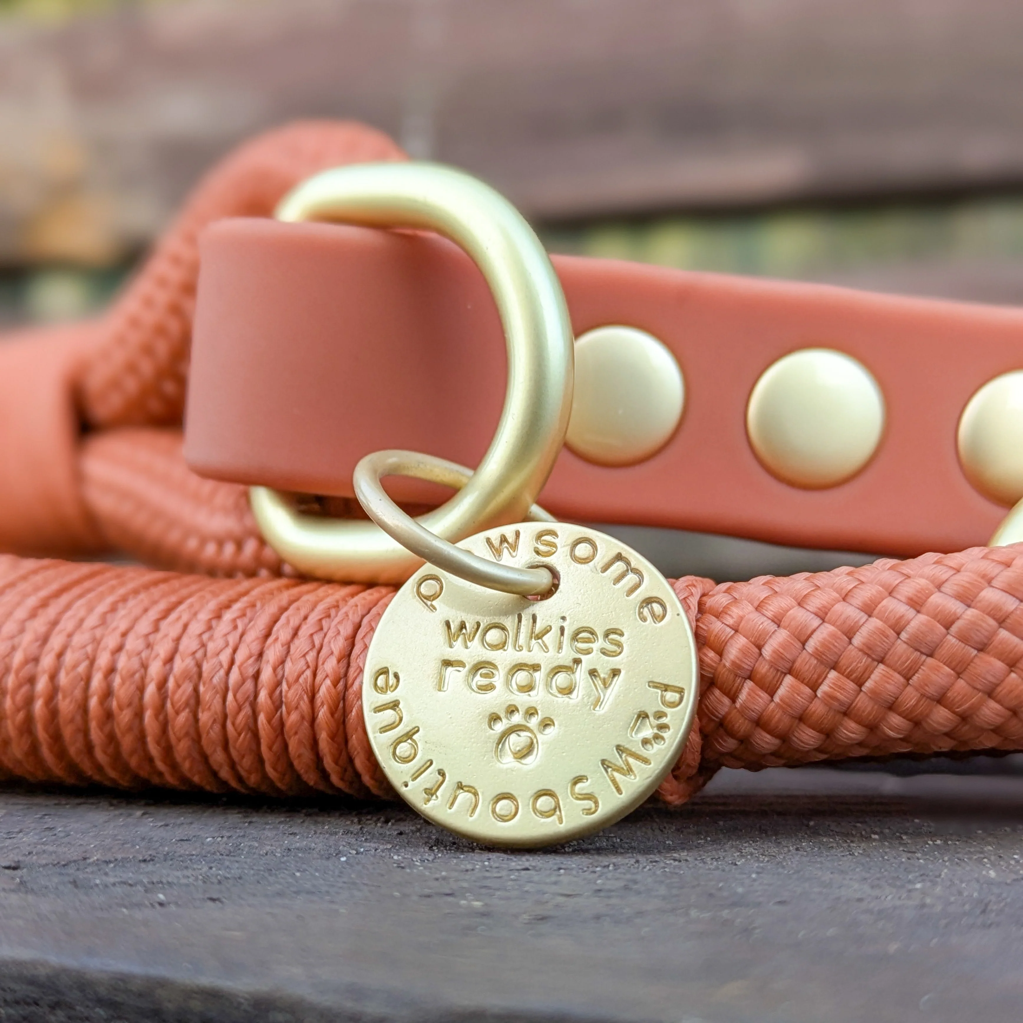 4ft Rope Lead - Rust - Image 10