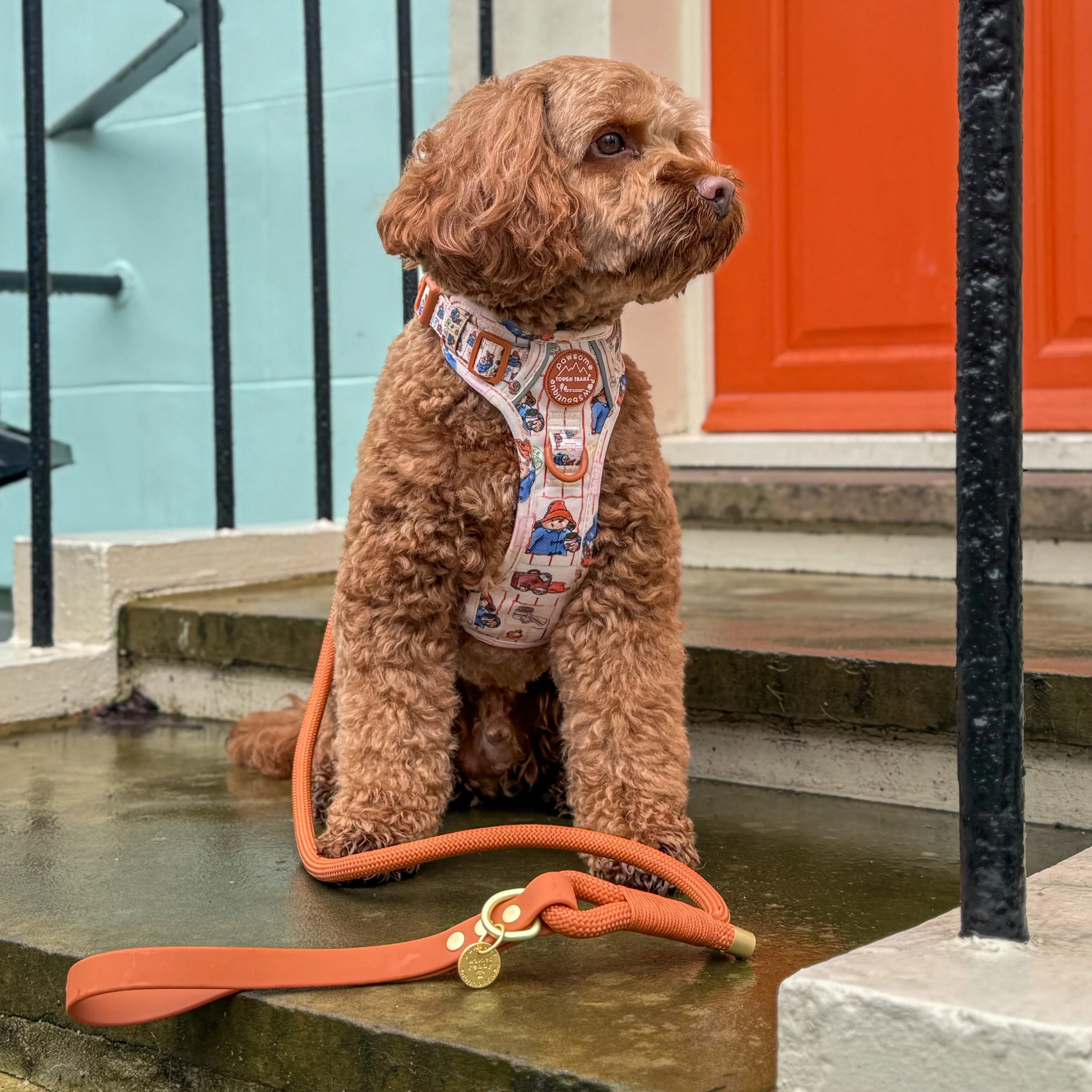 4ft Rope Lead - Rust - Image 4