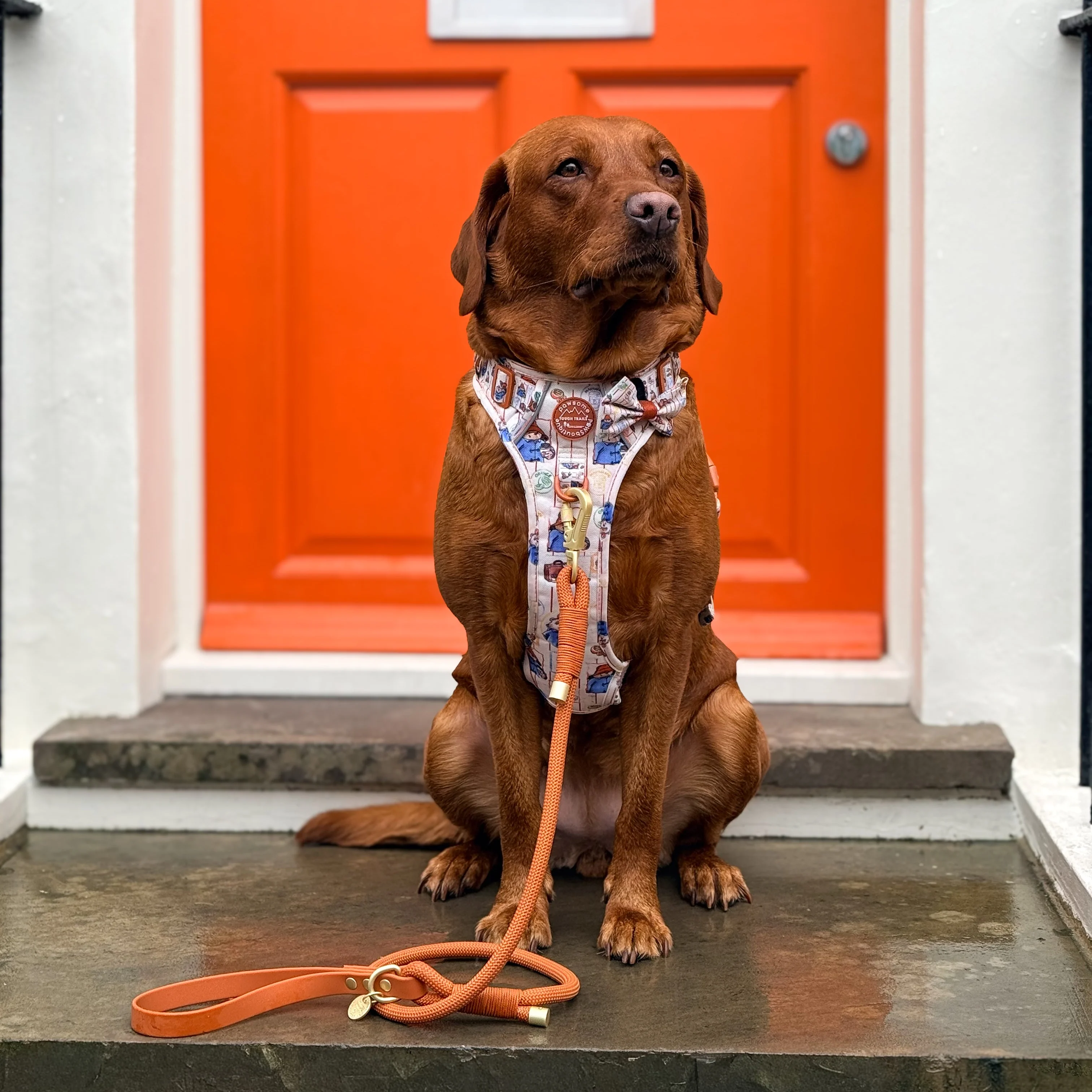 4ft Rope Lead - Rust - Image 7