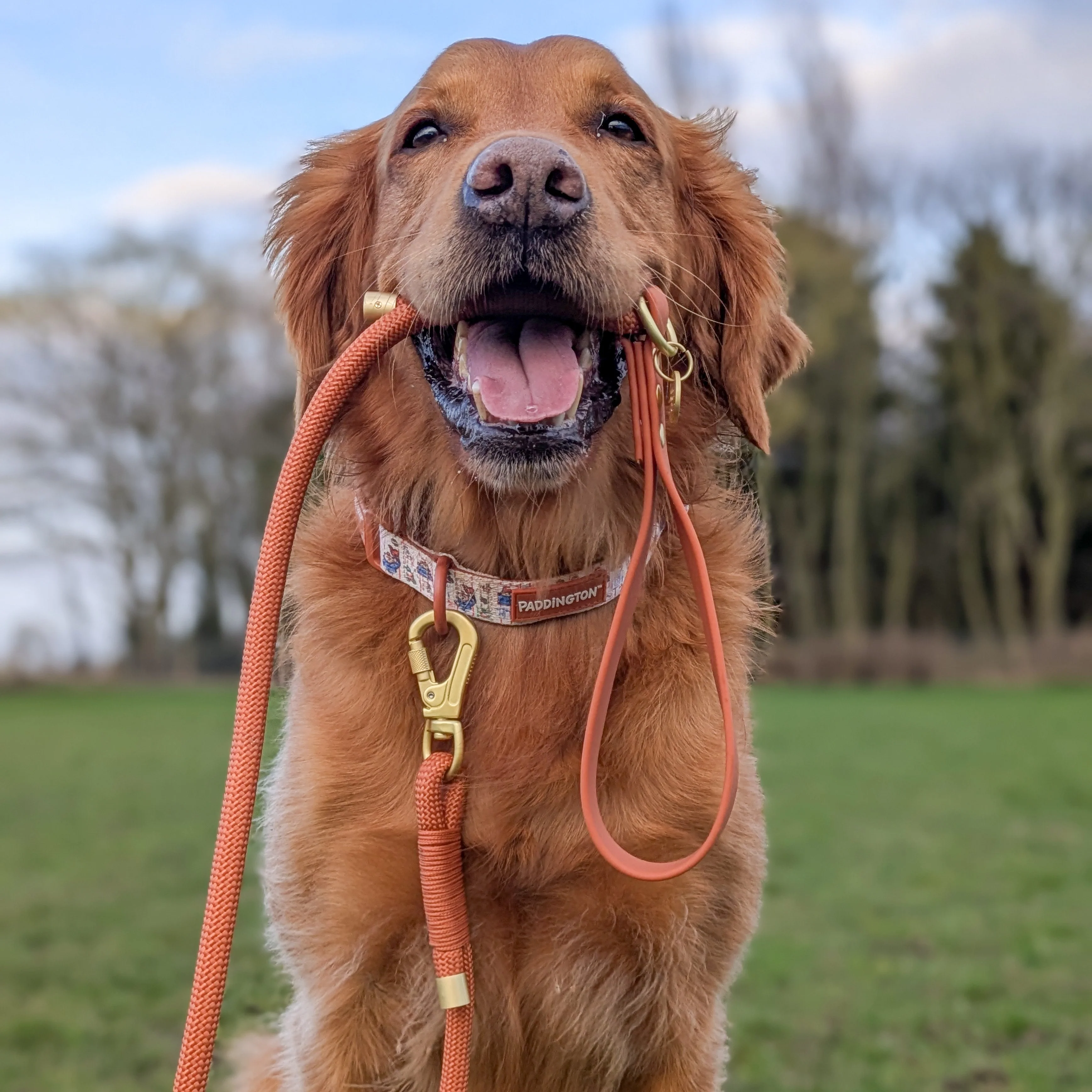 4ft Rope Lead - Rust - Image 8