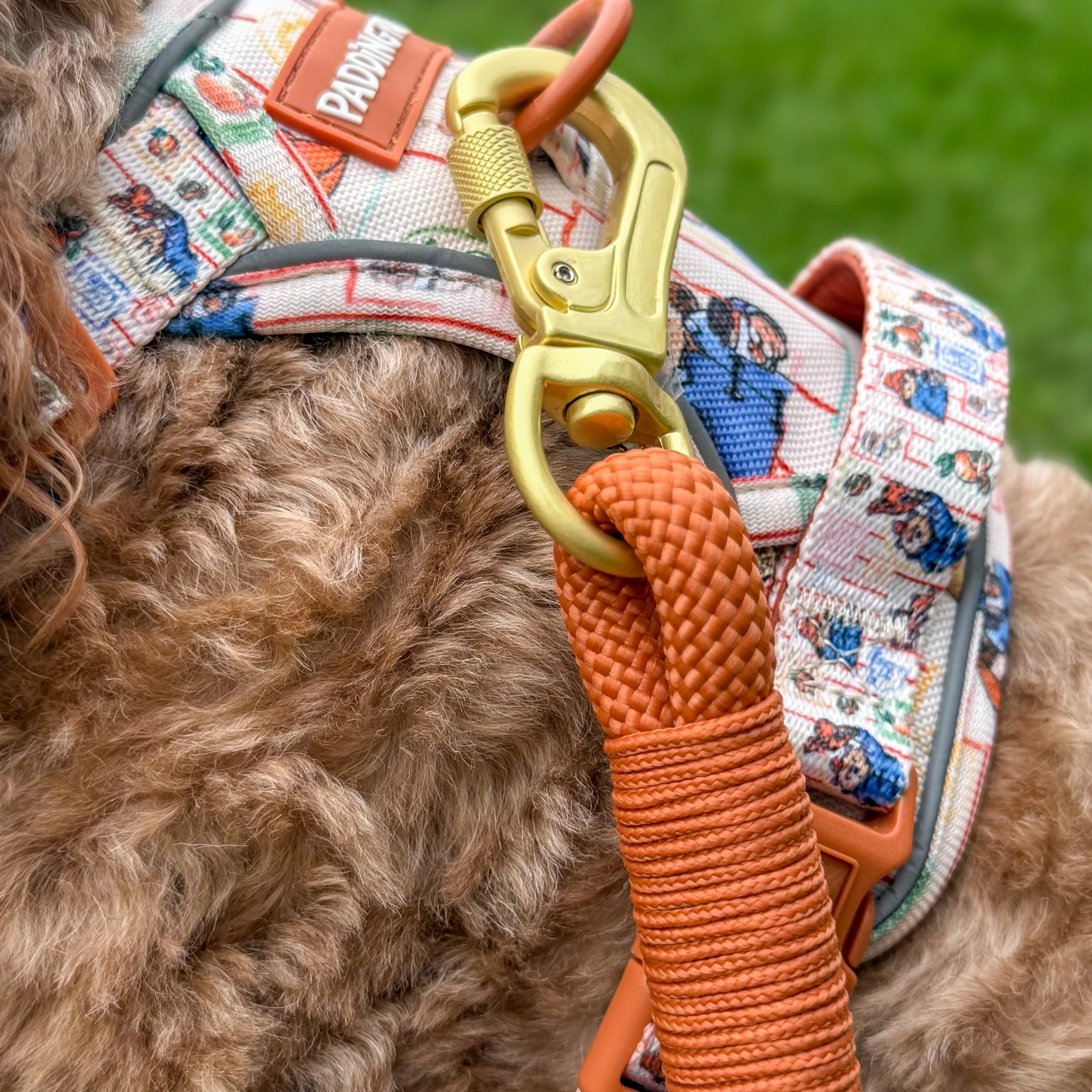 4ft Rope Lead - Rust - Image 9