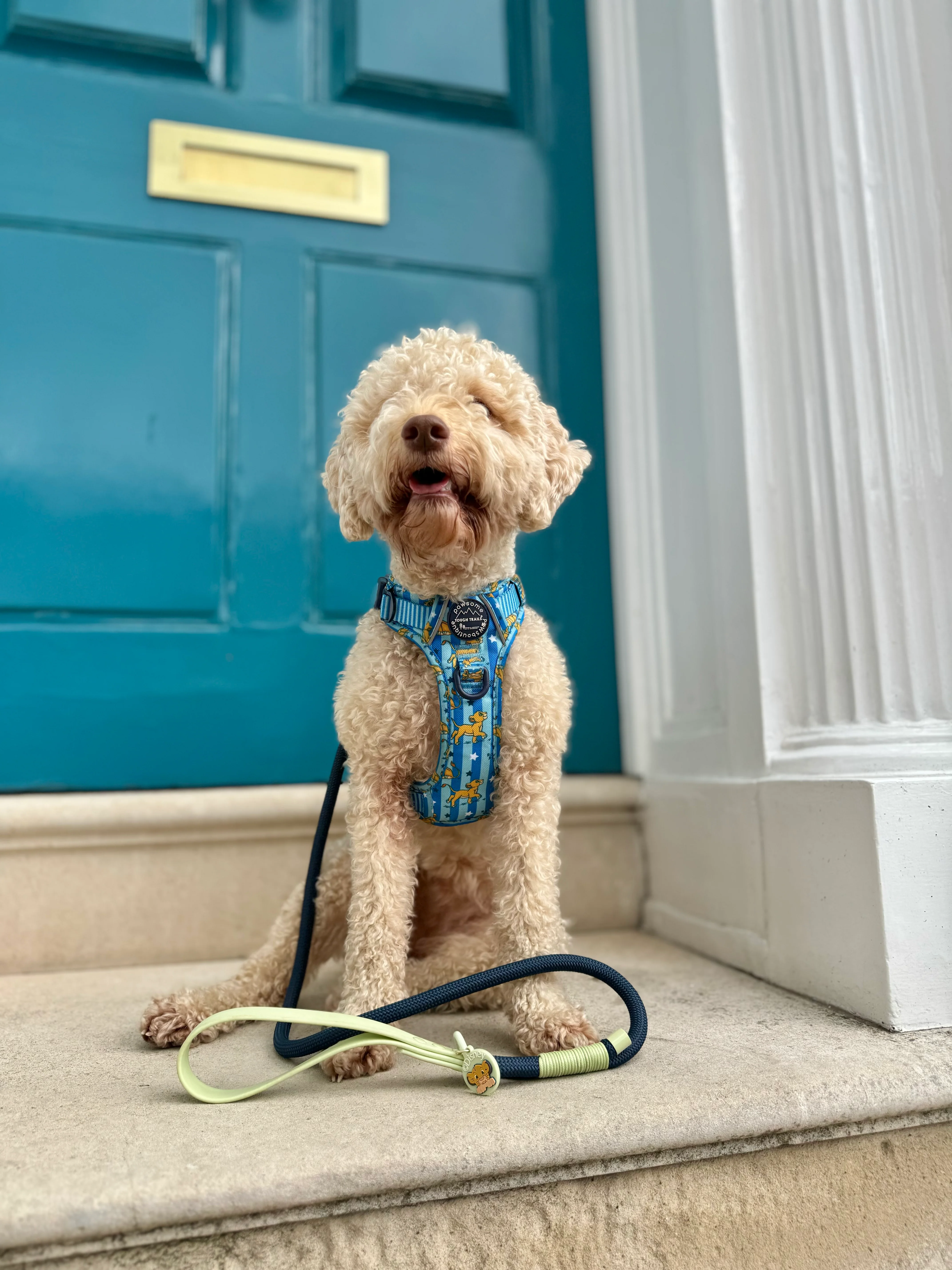 Disney© 4ft Rope Lead - Simba - Navy and Mint - Image 5