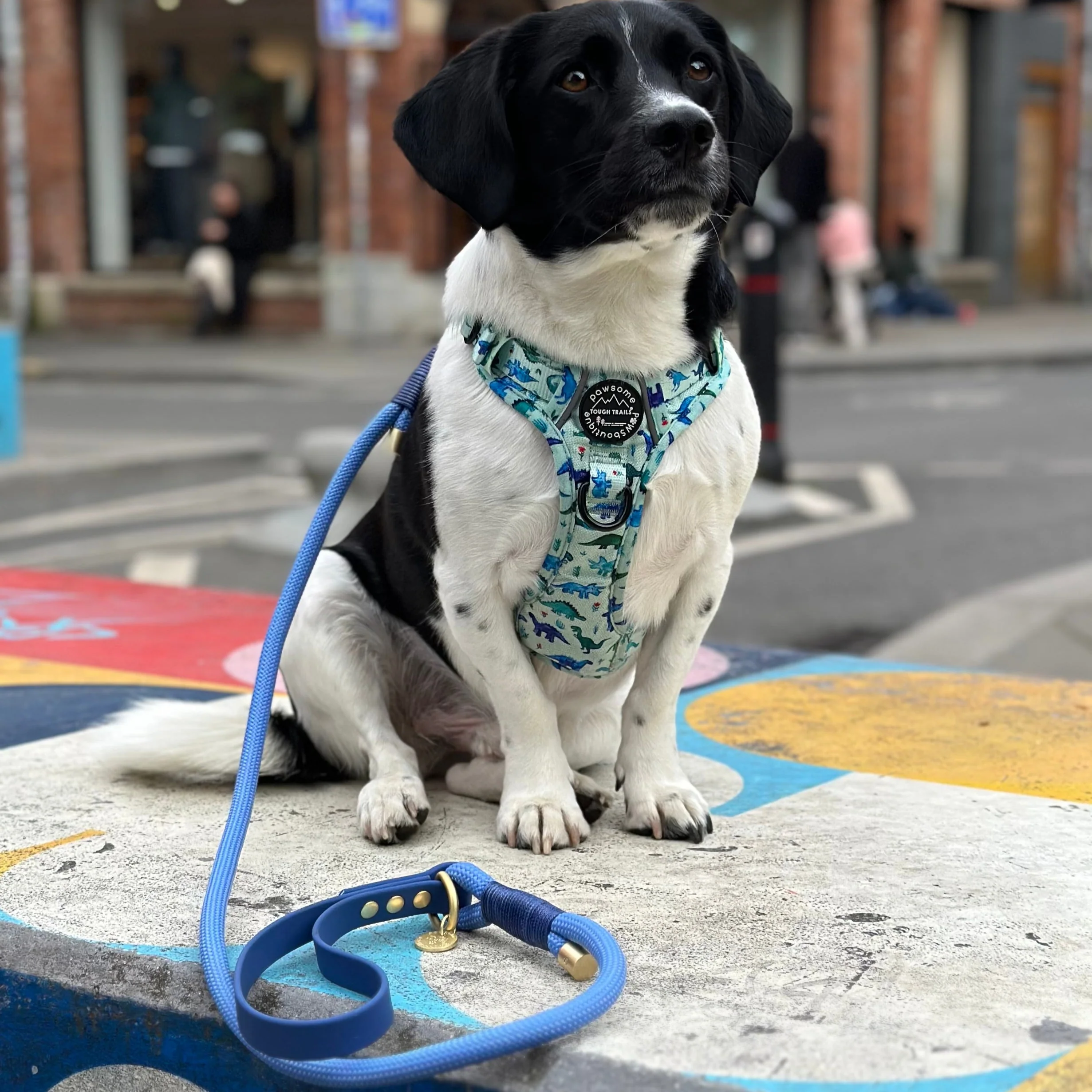 4ft Rope Lead - Walkies Ready® Cornflower Blue - Image 7