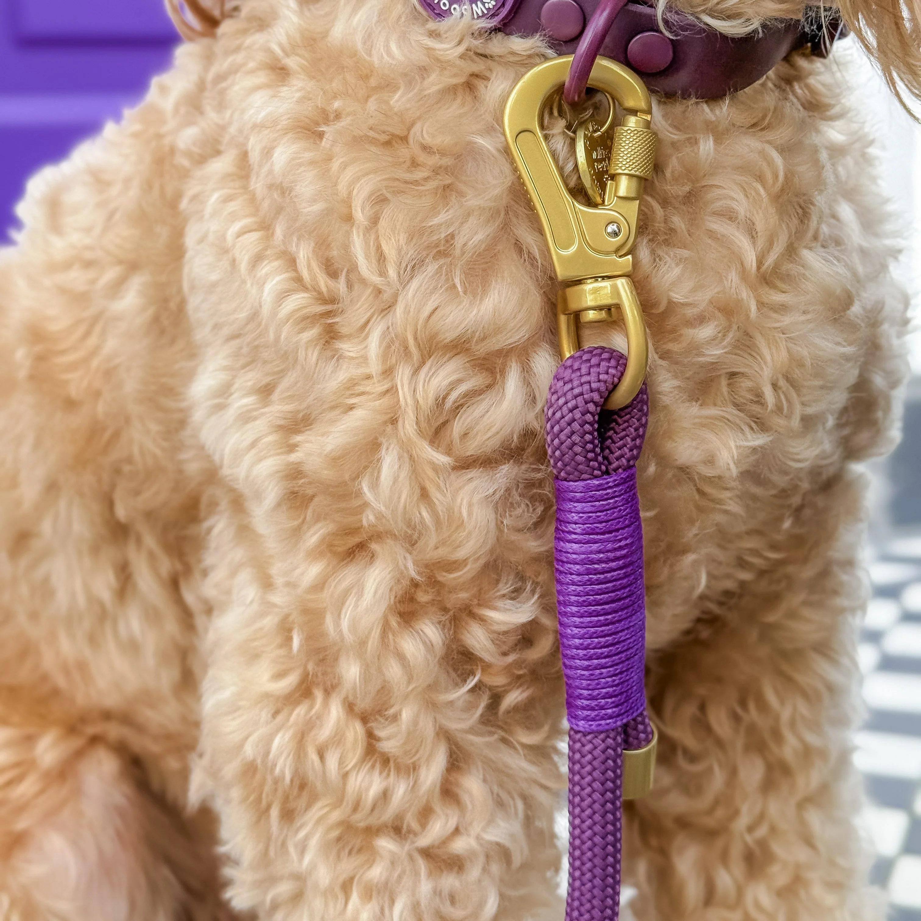 4ft Rope Lead - Walkies Ready® Plum - Image 6