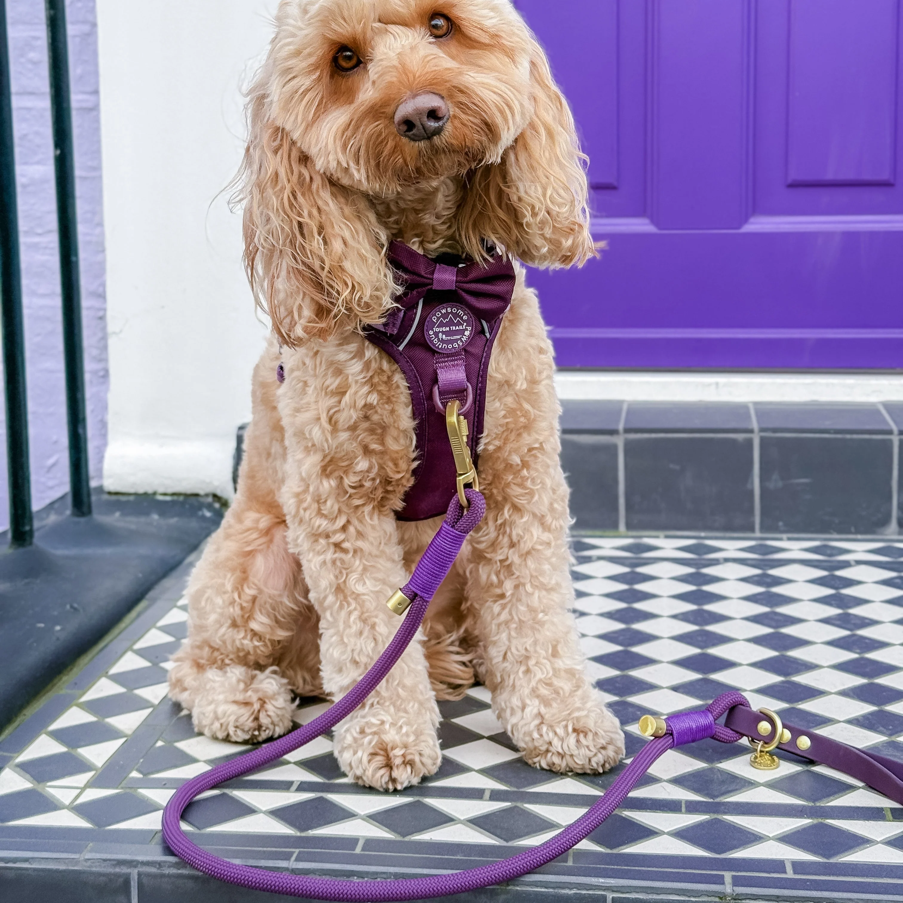 4ft Rope Lead - Walkies Ready® Plum - Image 8