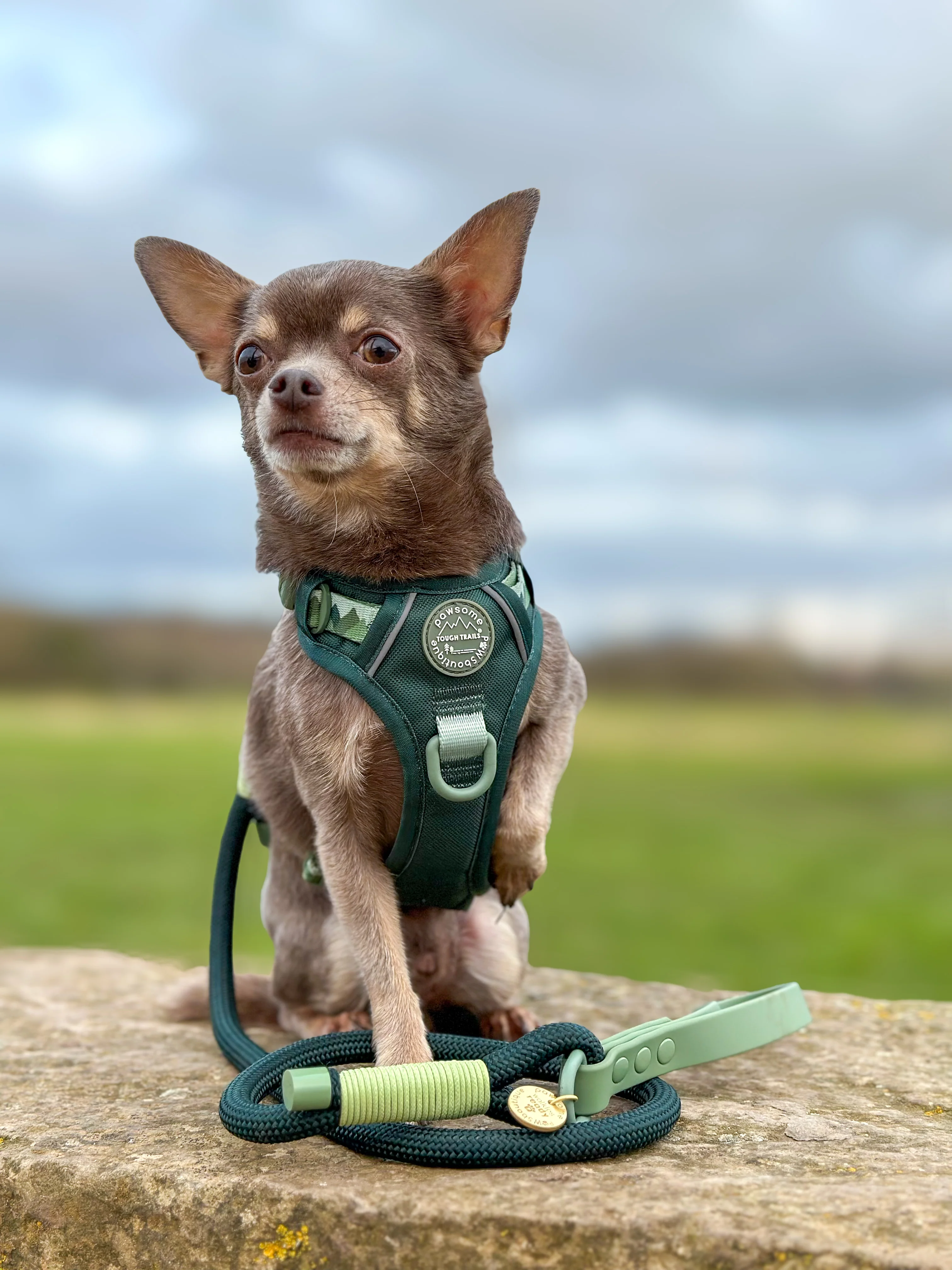 4ft Rope Lead - Walkies Ready® Forest Green - Image 10