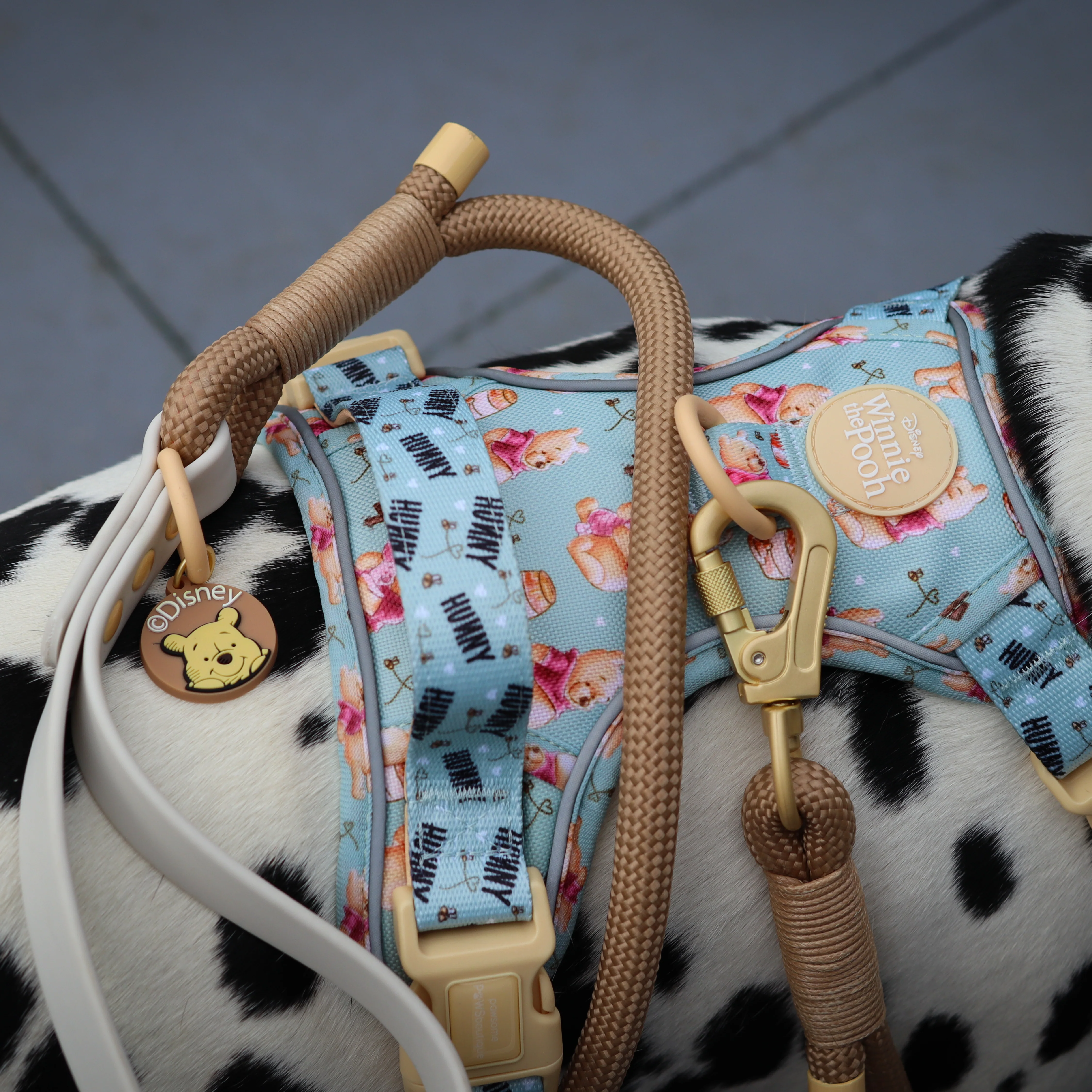 Disney© 4ft Rope Lead - Winnie The Pooh - Beige and Brown - Image 12