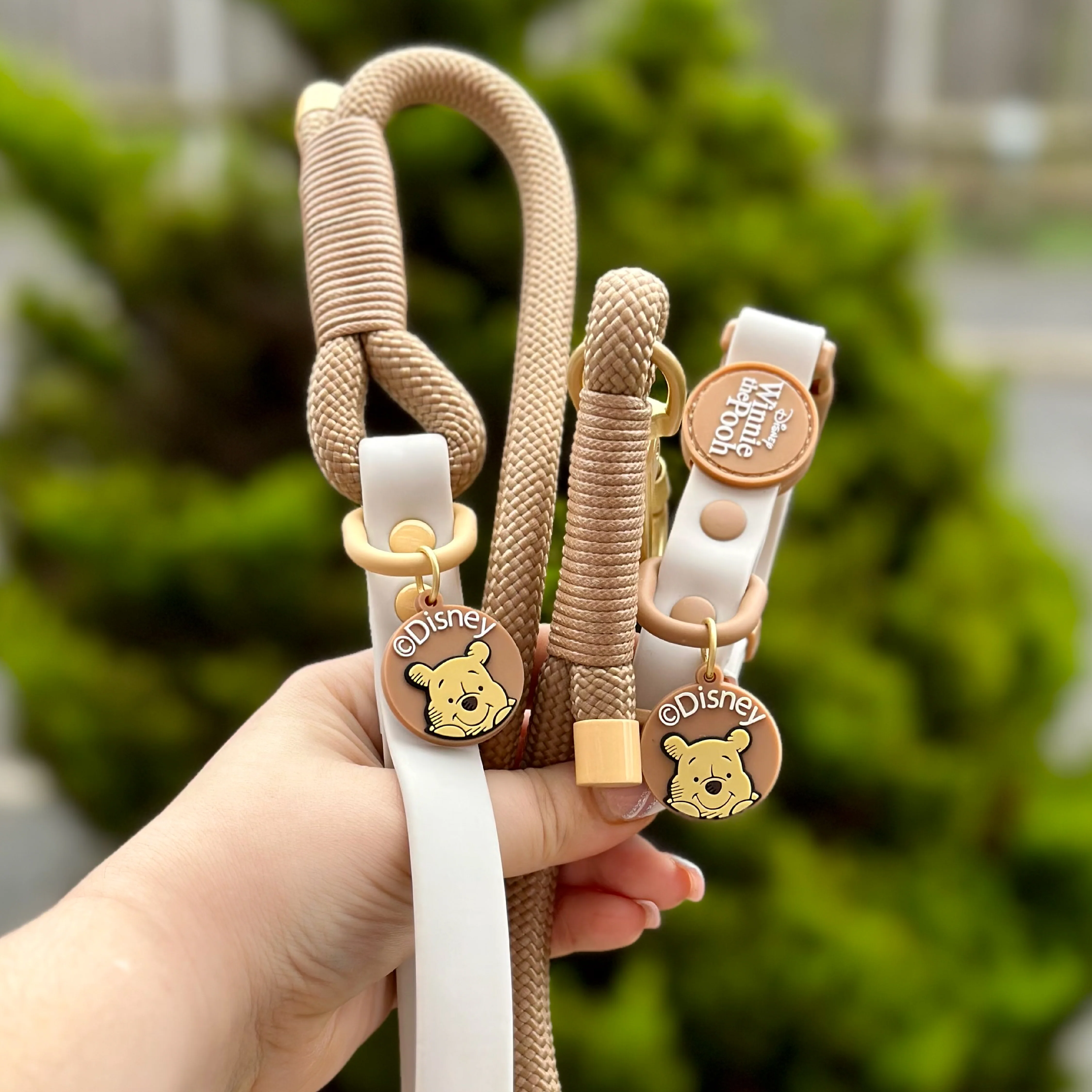 Disney© 4ft Rope Lead - Winnie The Pooh - Beige and Brown - Image 15