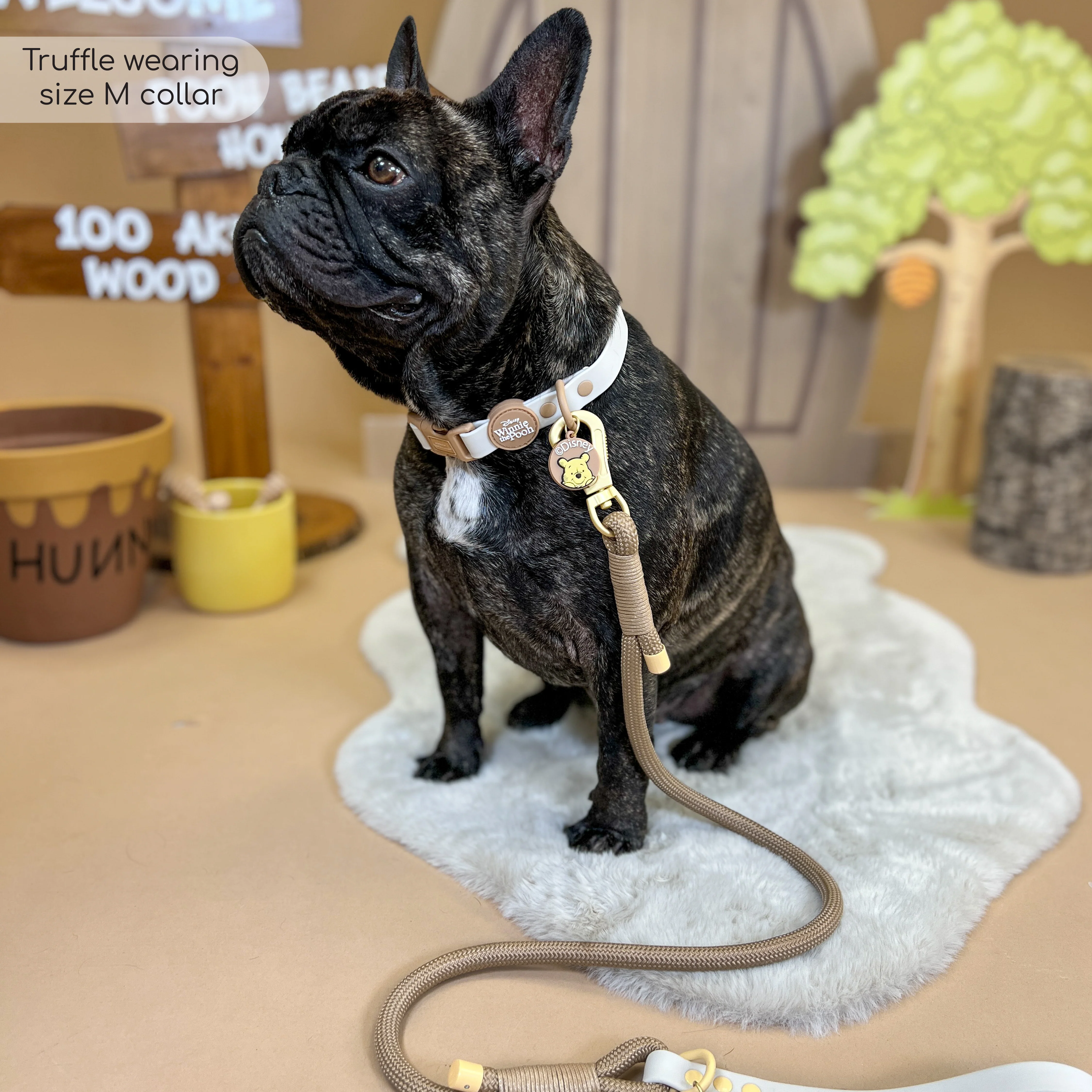Disney© 4ft Rope Lead - Winnie The Pooh - Beige and Brown - Image 6