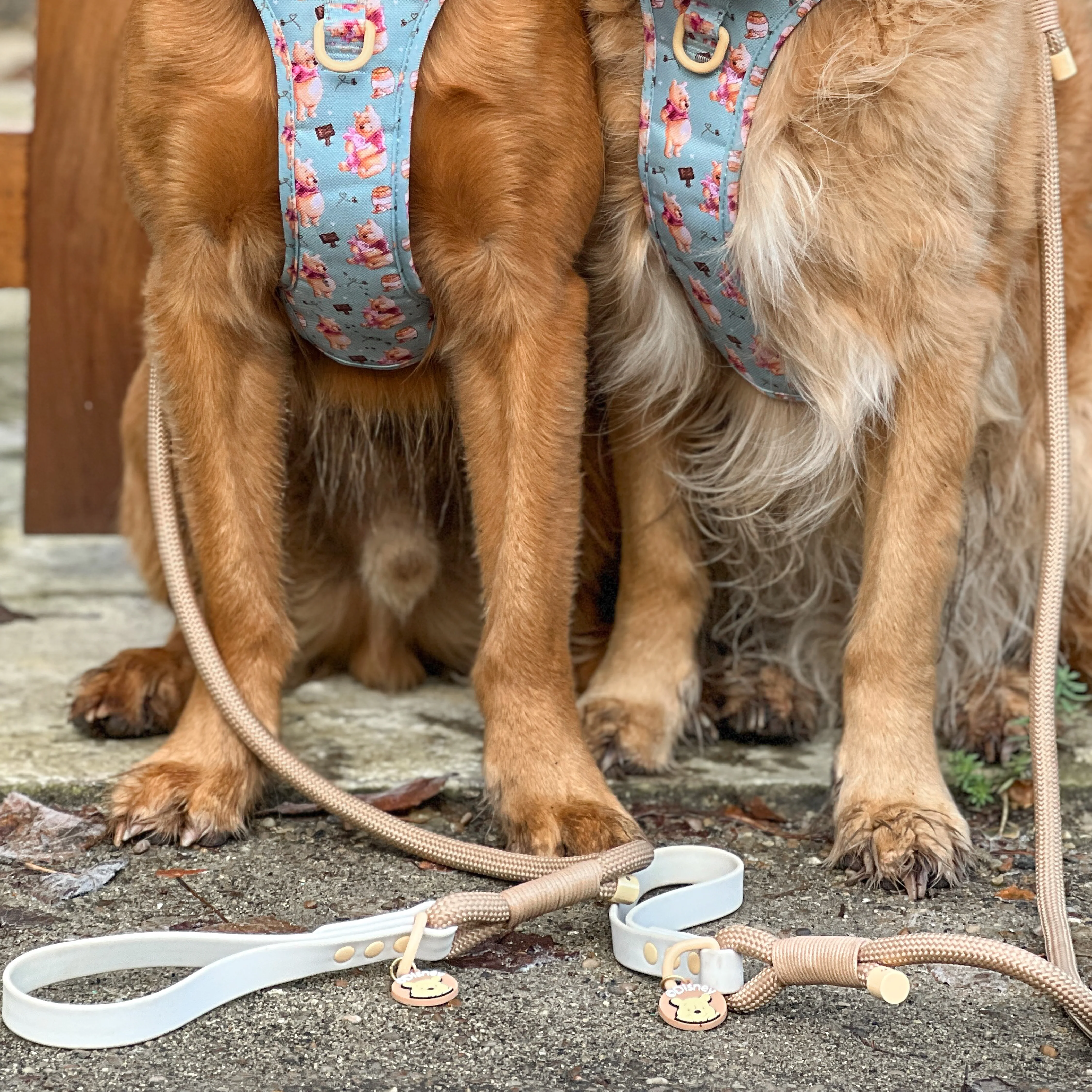 Disney© 4ft Rope Lead - Winnie The Pooh - Beige and Brown - Image 9