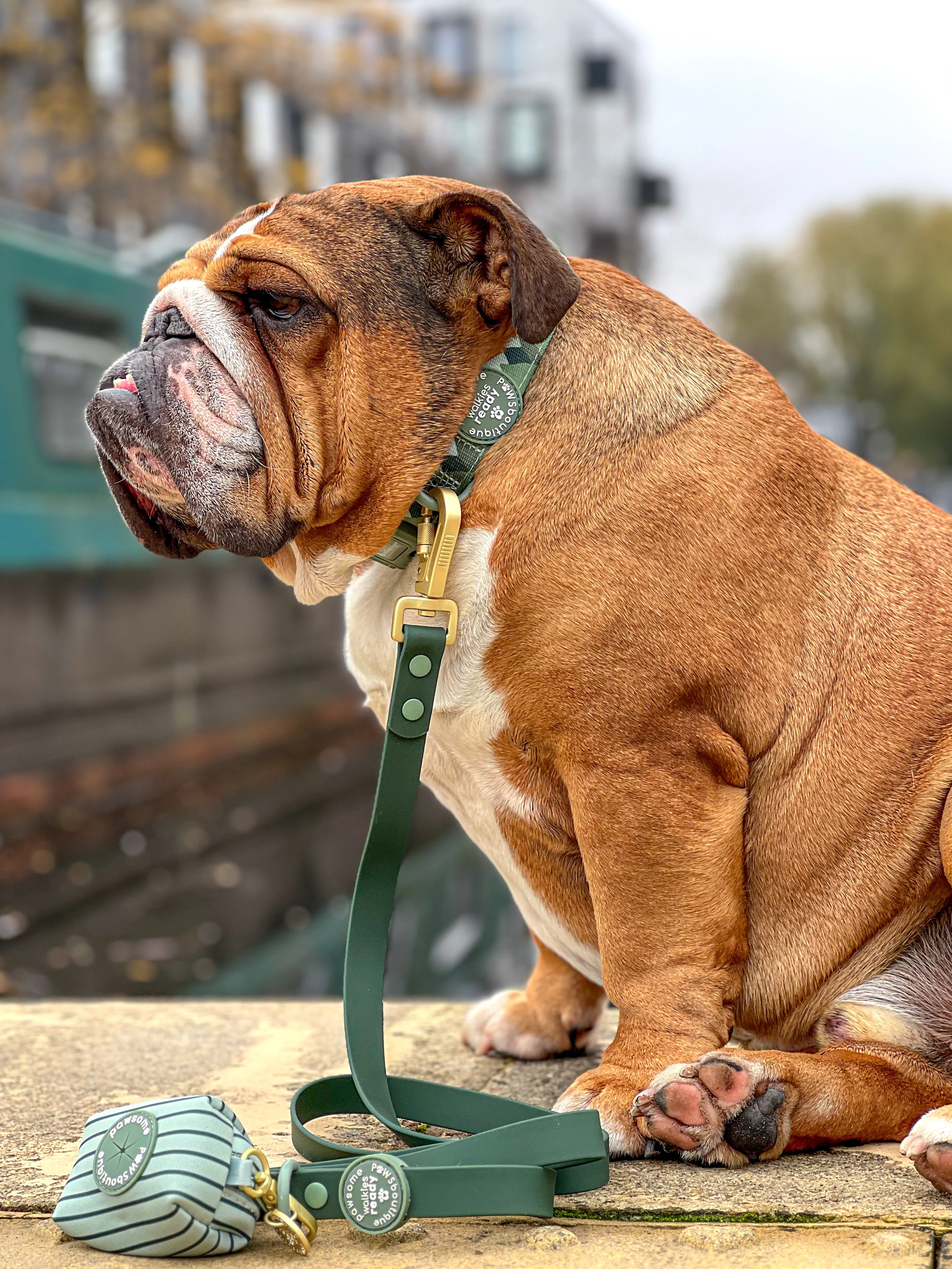 4ft Waterproof Lead - Walkies Ready® Forest Green - Image 16