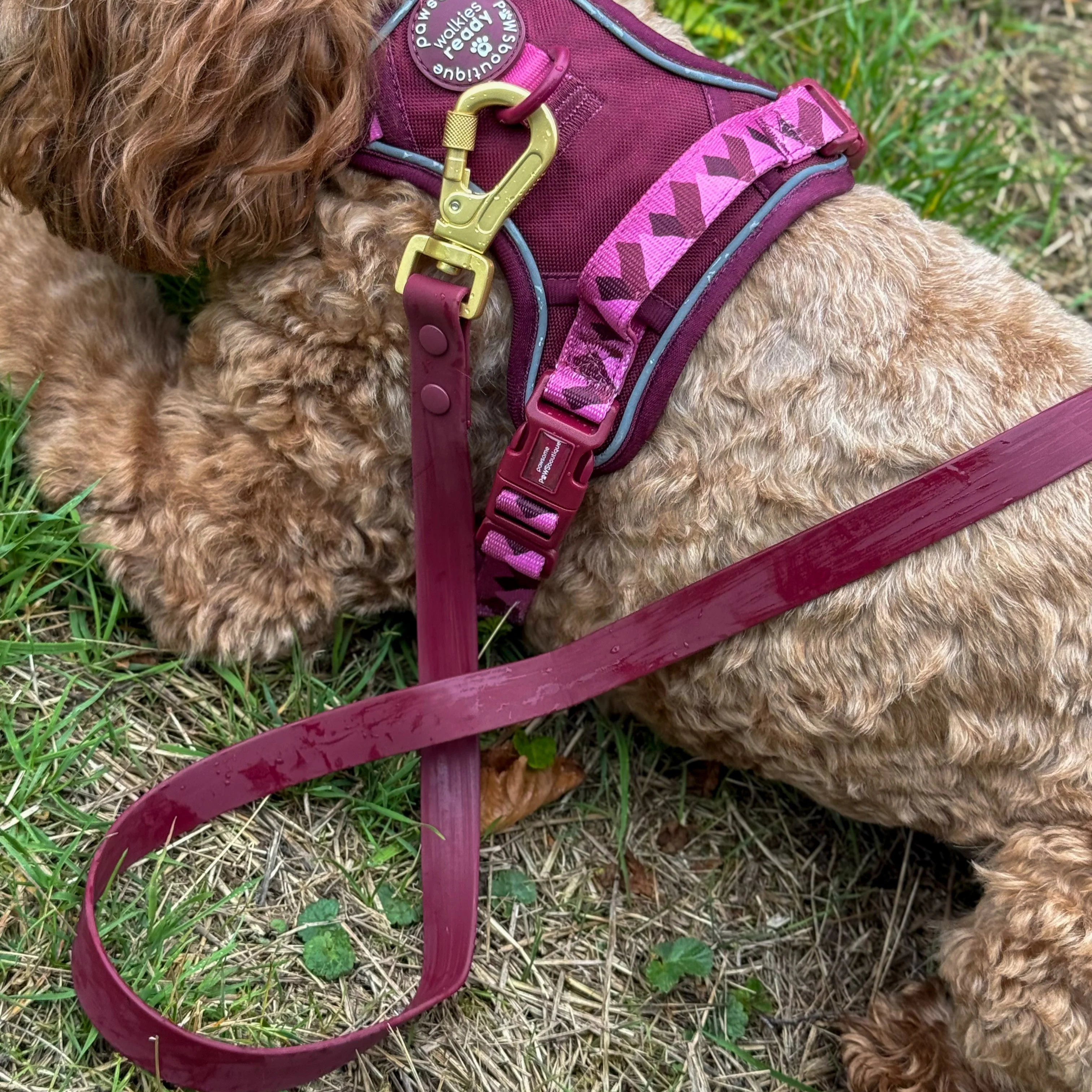 4ft Waterproof Lead - Walkies Ready® Mulberry - Image 6