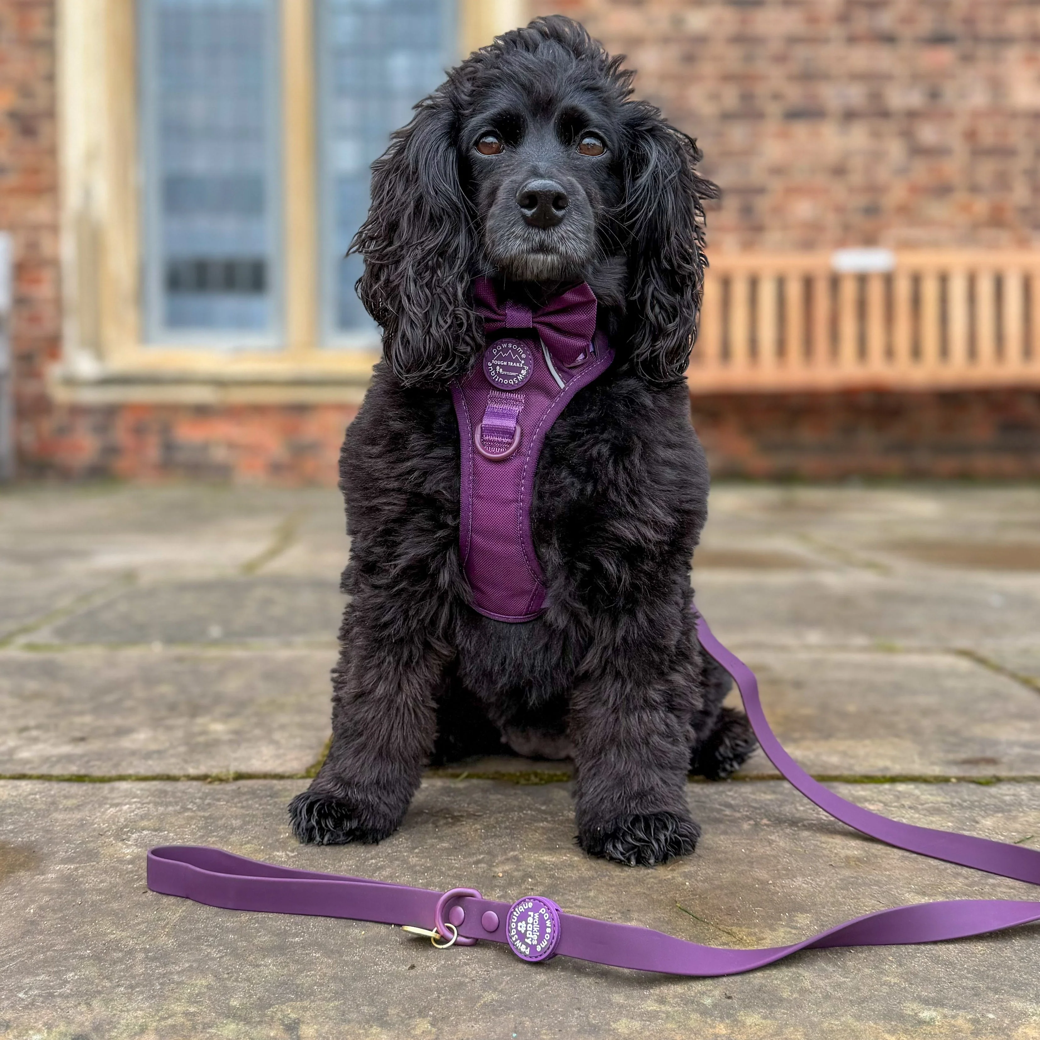 4ft Waterproof Lead - Walkies Ready® Plum - Image 13