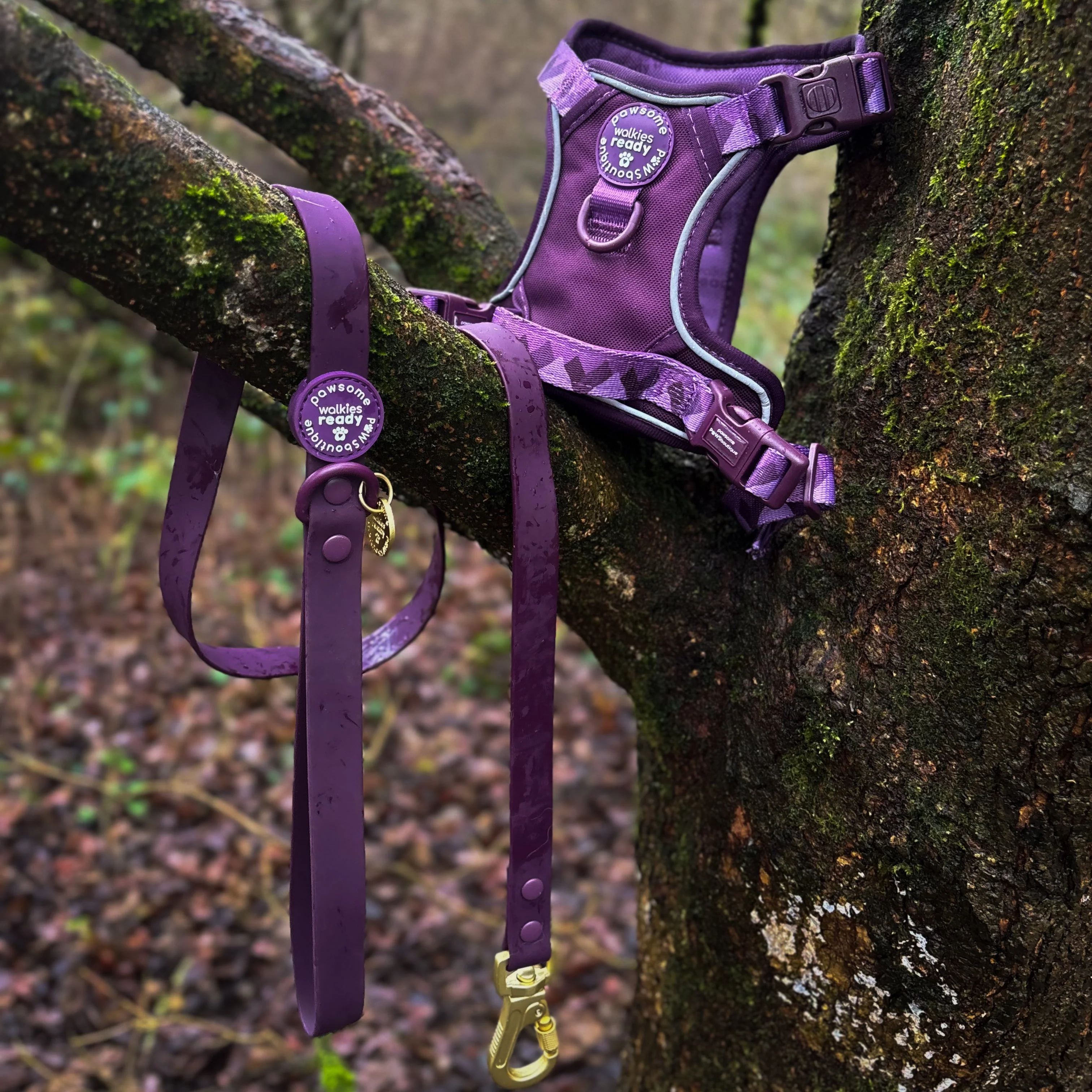 4ft Waterproof Lead - Walkies Ready® Plum - Image 7