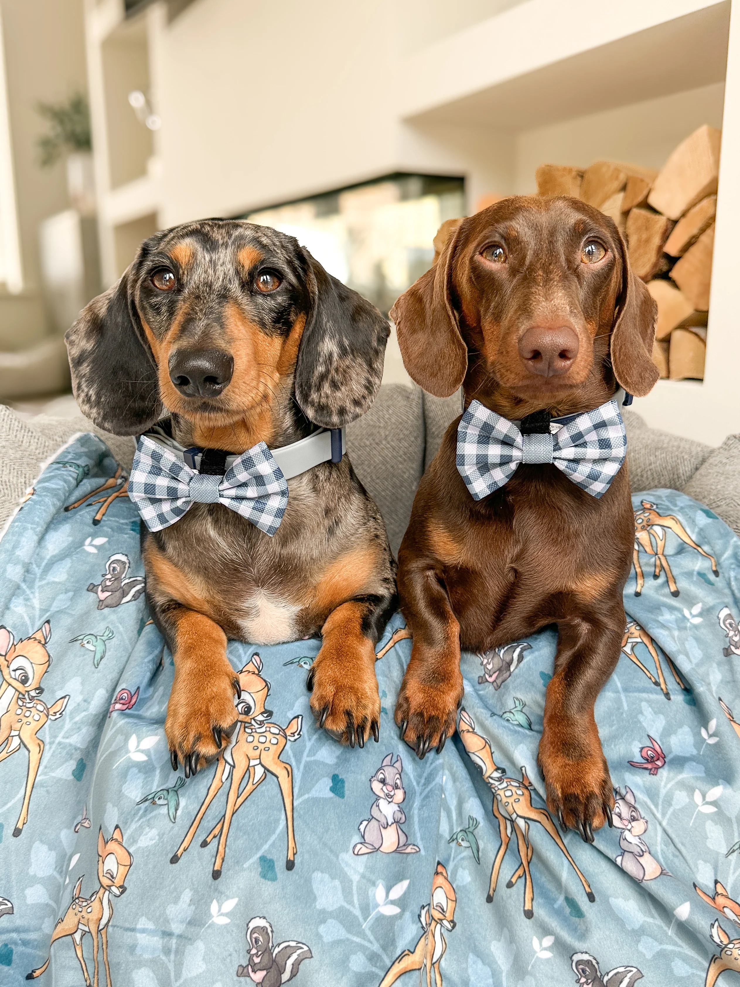 Disney© Bow Tie - Bambi + Friends Blue Gingham - Image 5