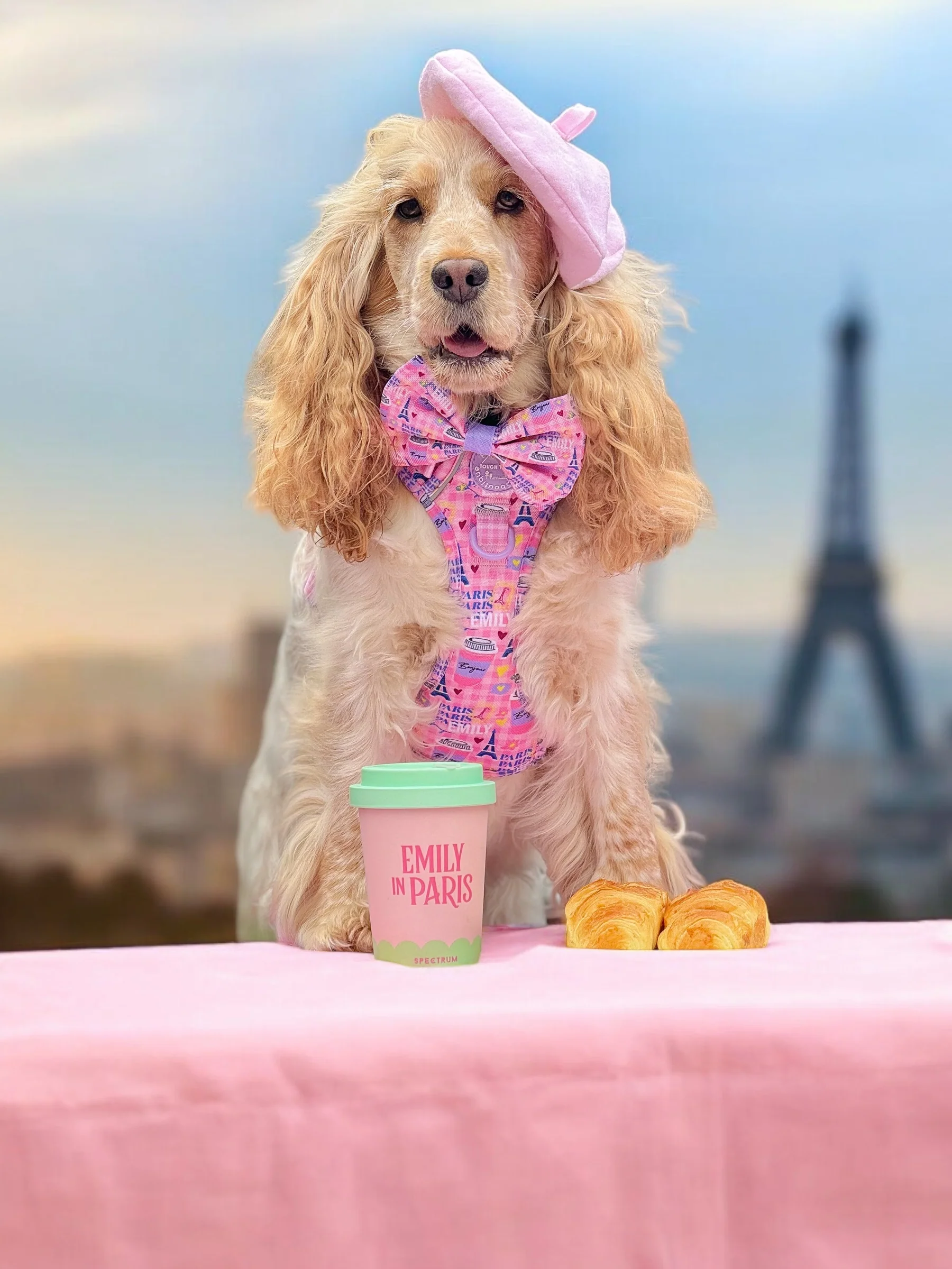 Bow Tie - Emily In Paris - Image 5