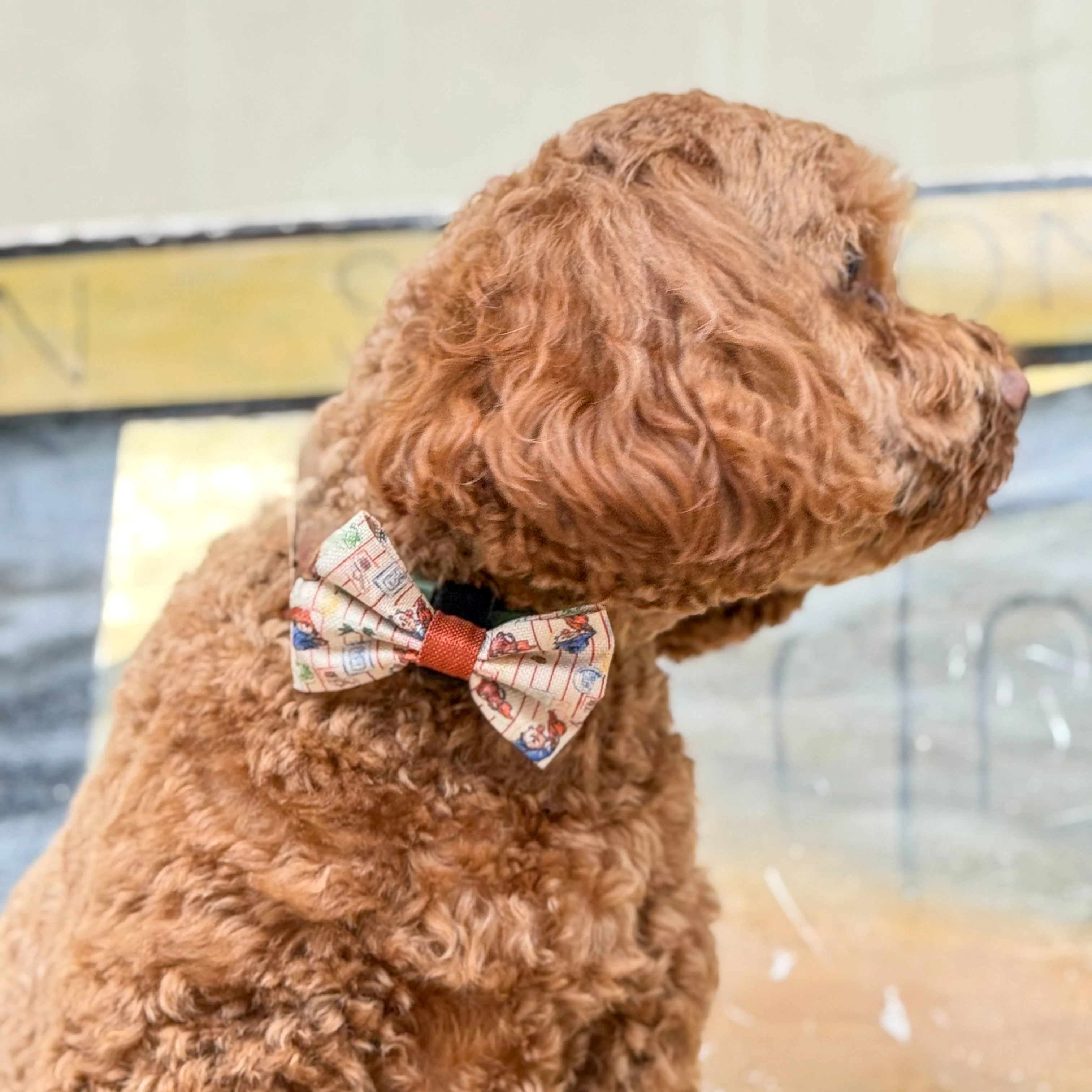 Paddington™ Bow Tie - Peckish Paddington - Image 5
