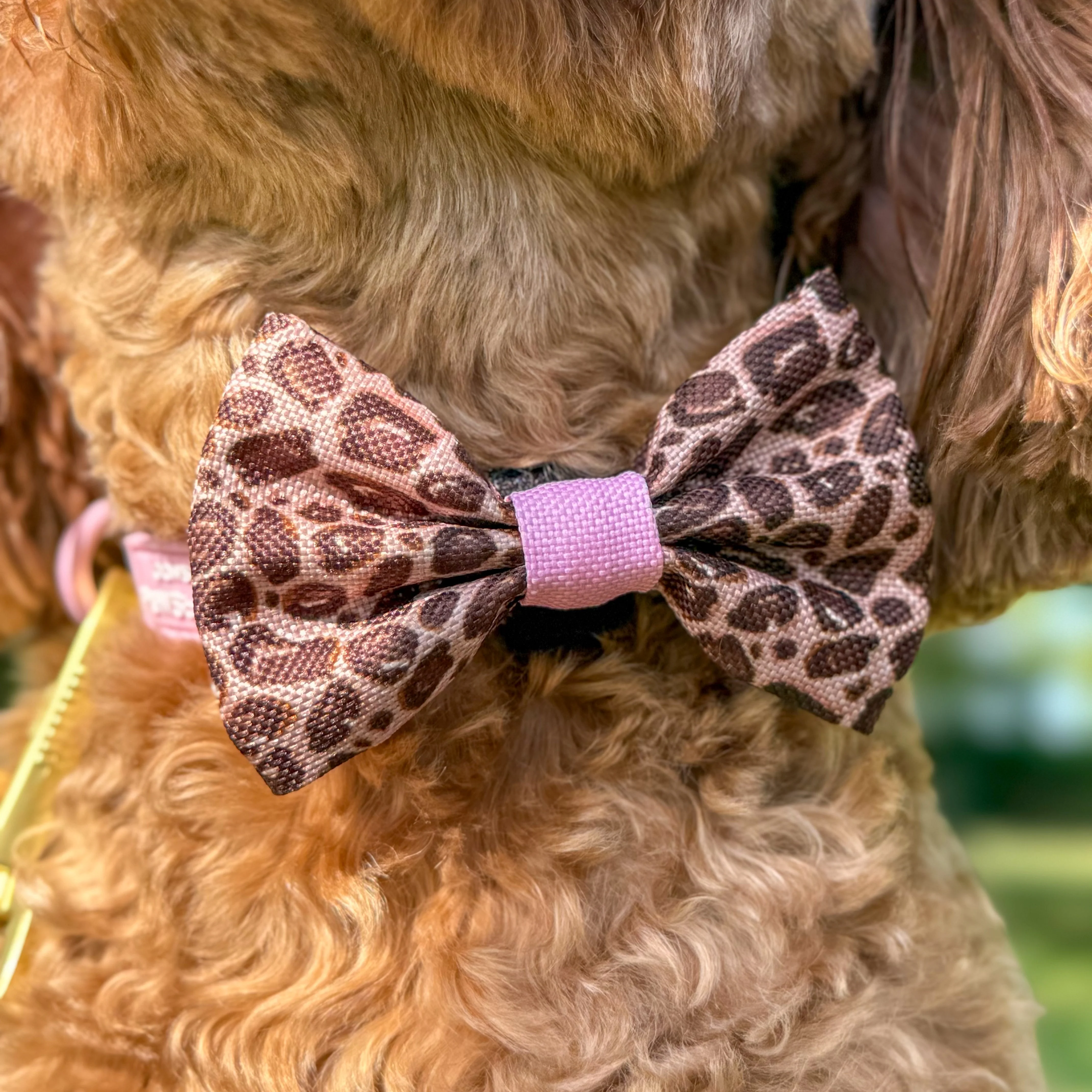 Bow Tie - Leopard Print - Image 9