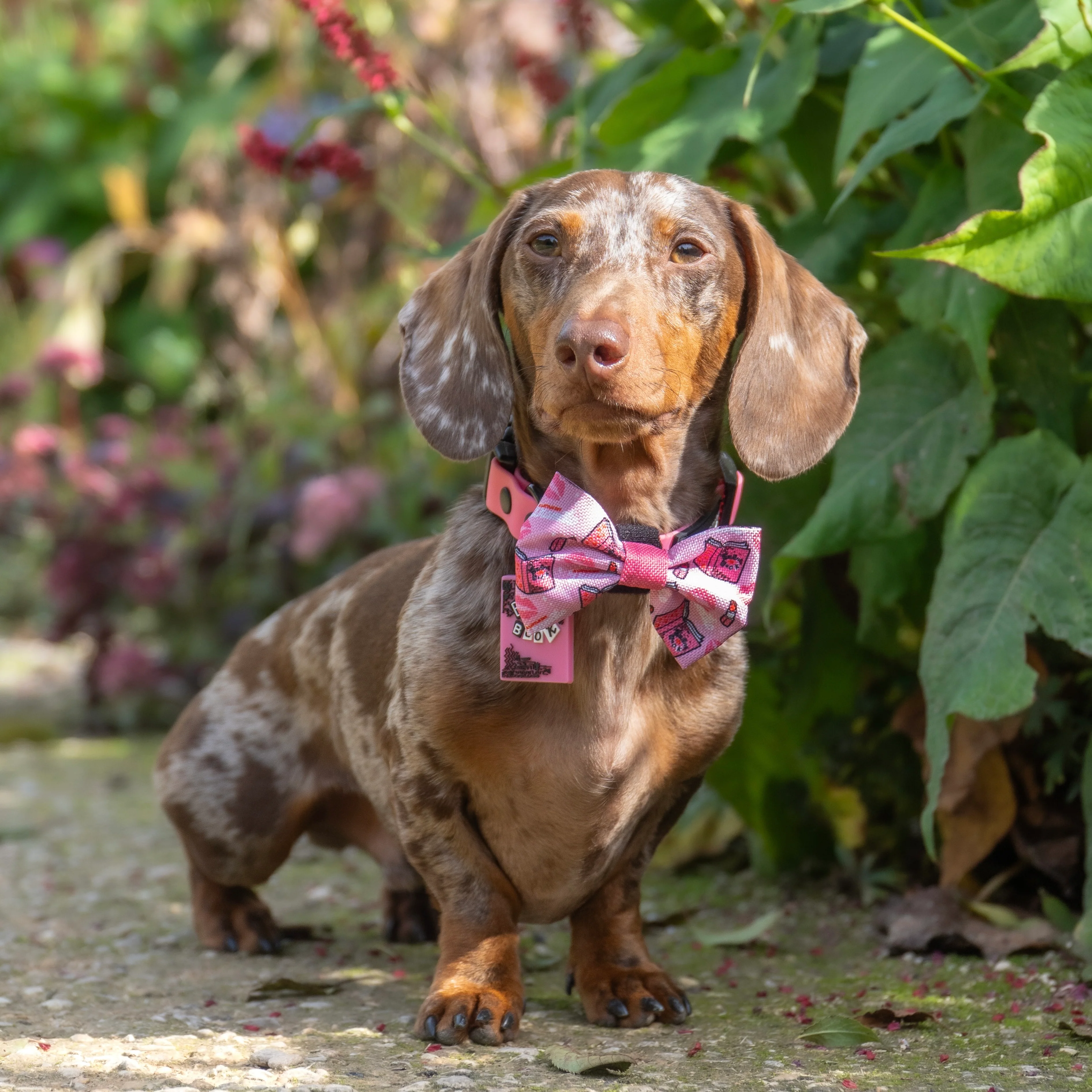 Bow Tie - Mean Girls - Image 7