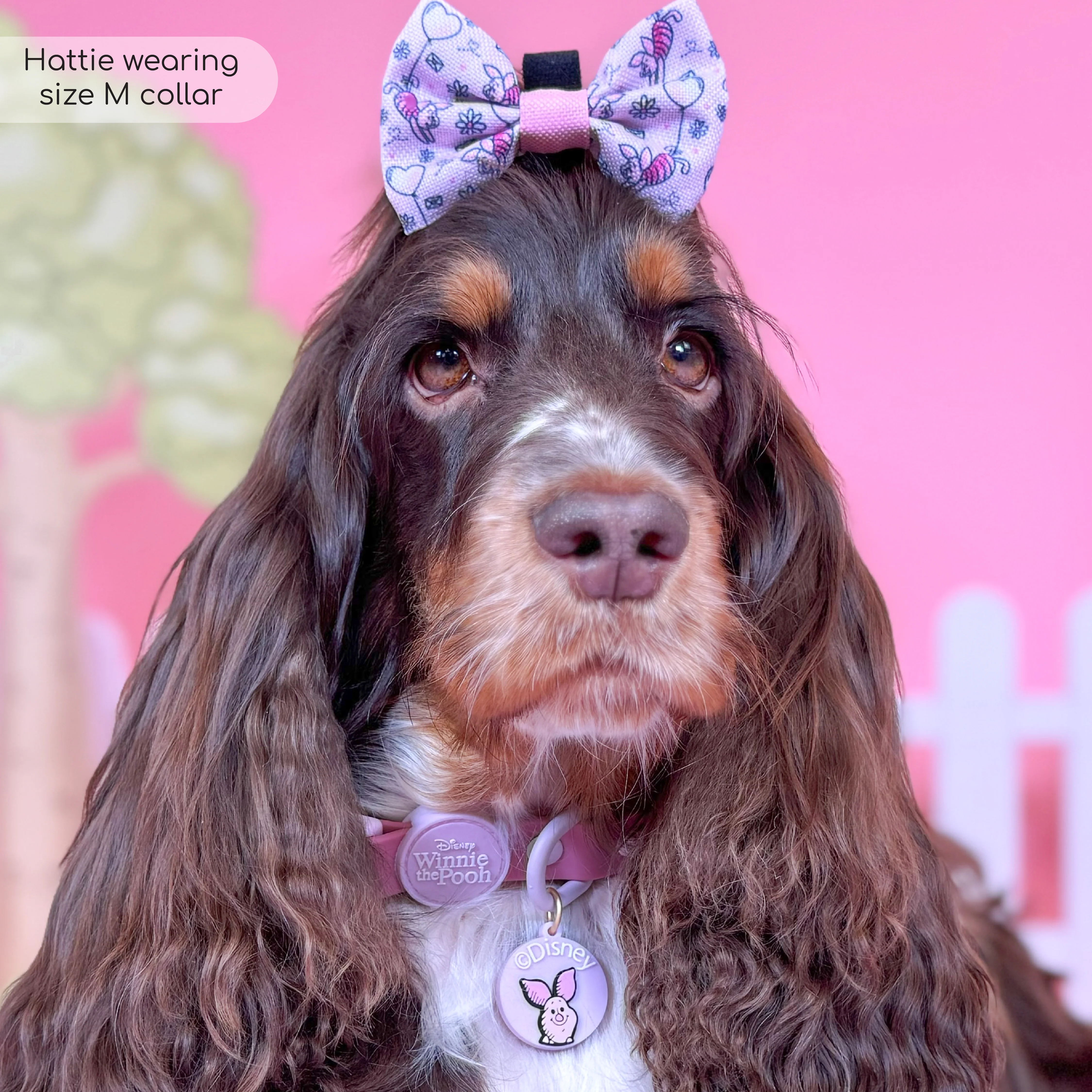 Disney© Bow Tie - Piglet - Image 4
