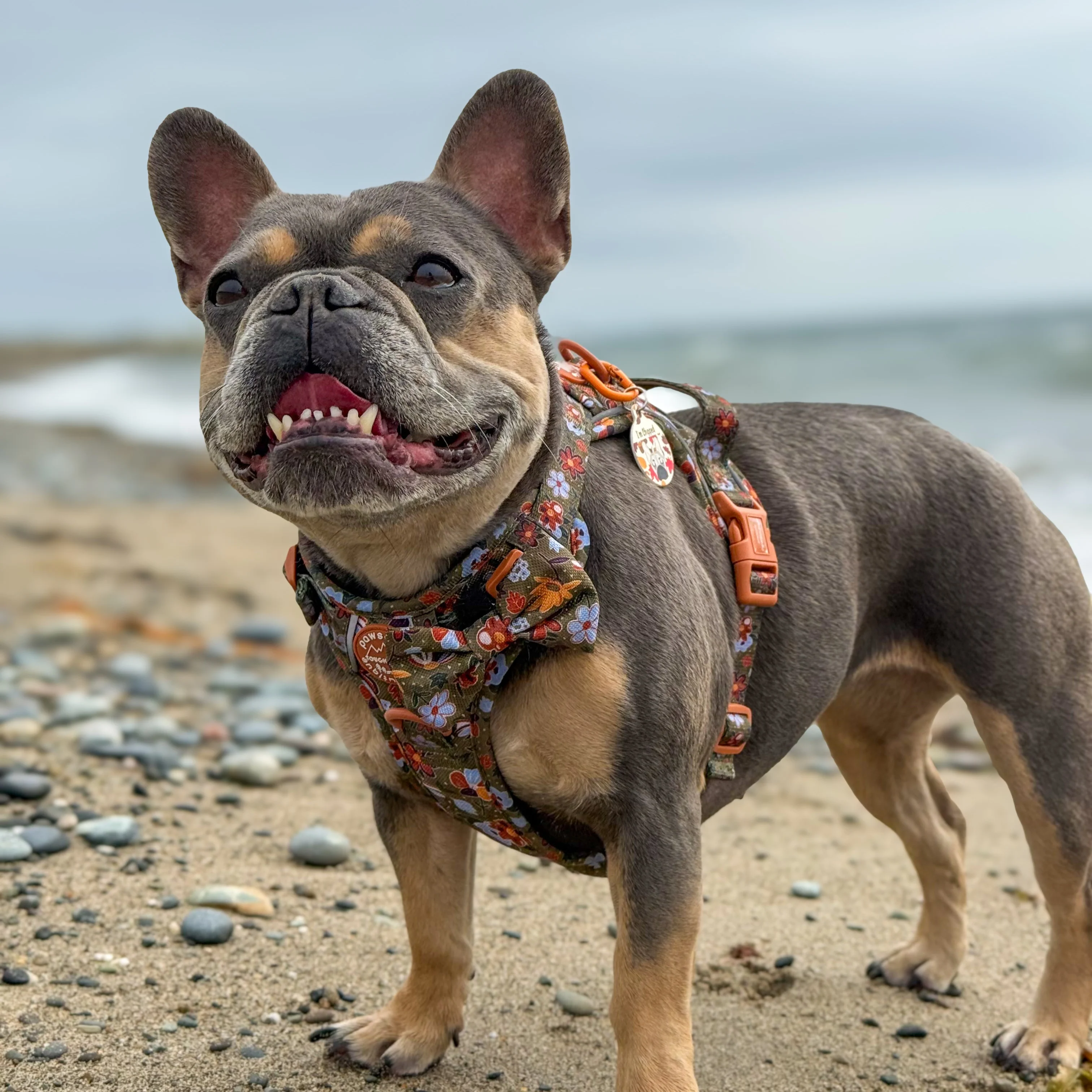 Bow Tie - Rust & Bloom - Image 11