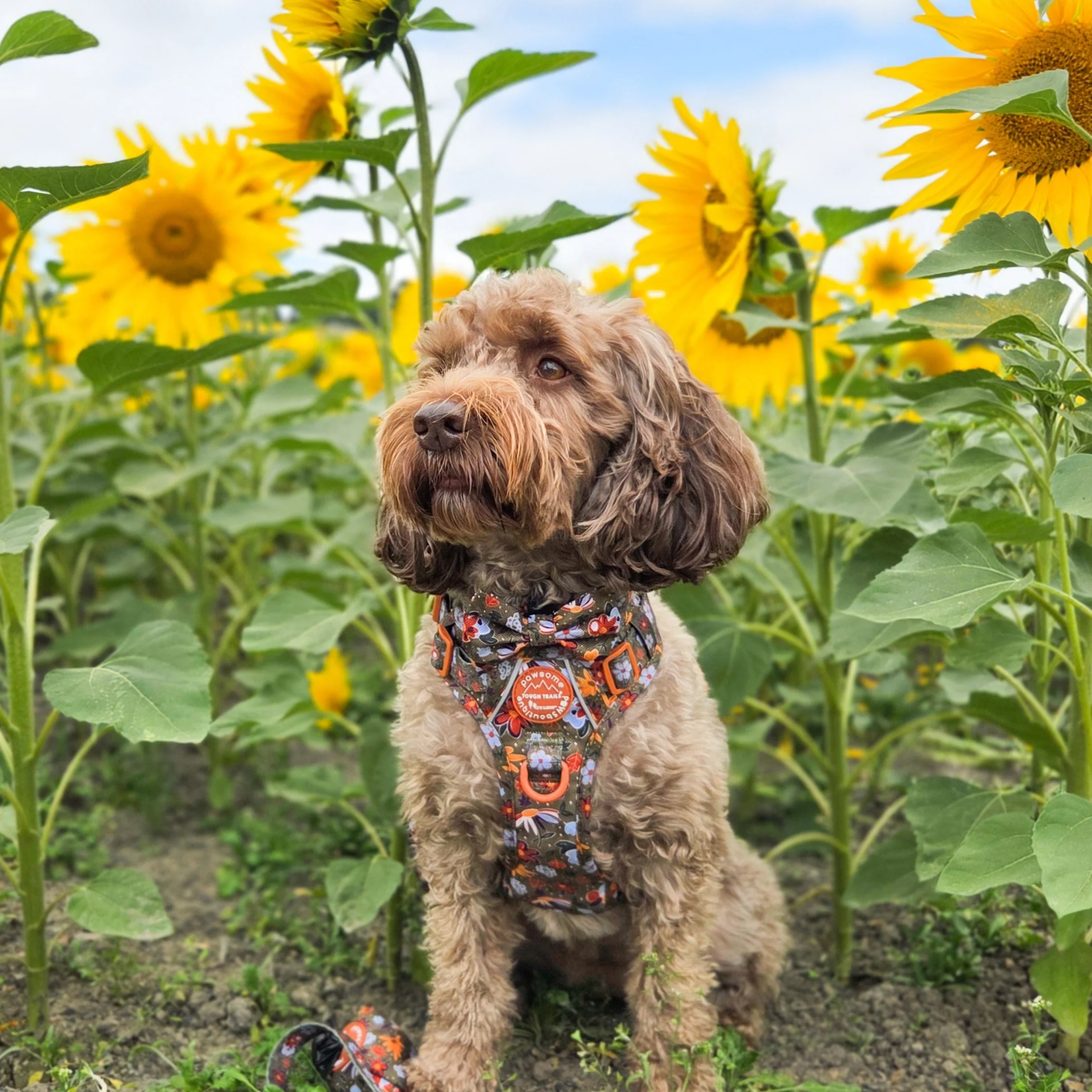 Bow Tie - Rust & Bloom - Image 12