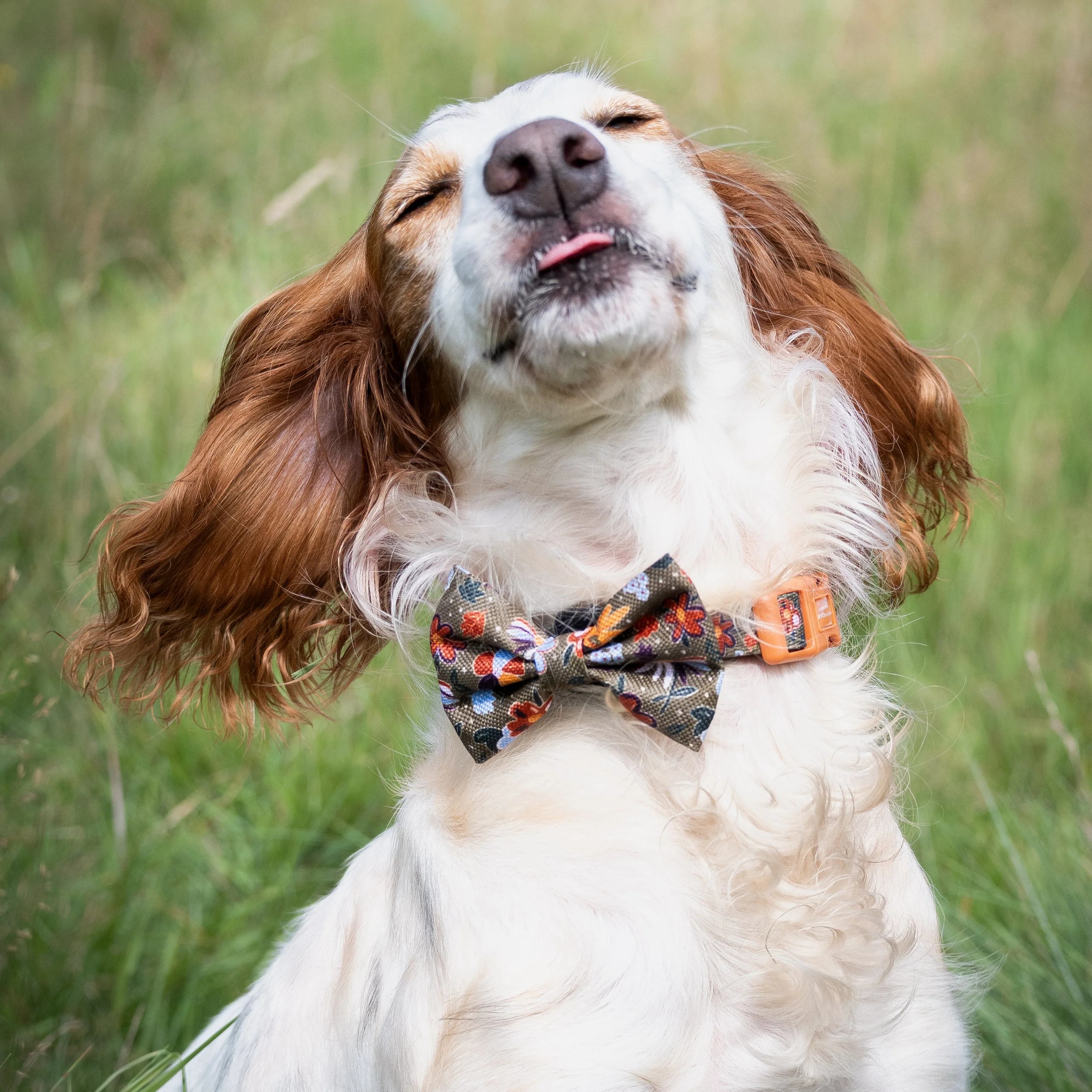 Bow Tie - Rust & Bloom - Image 4