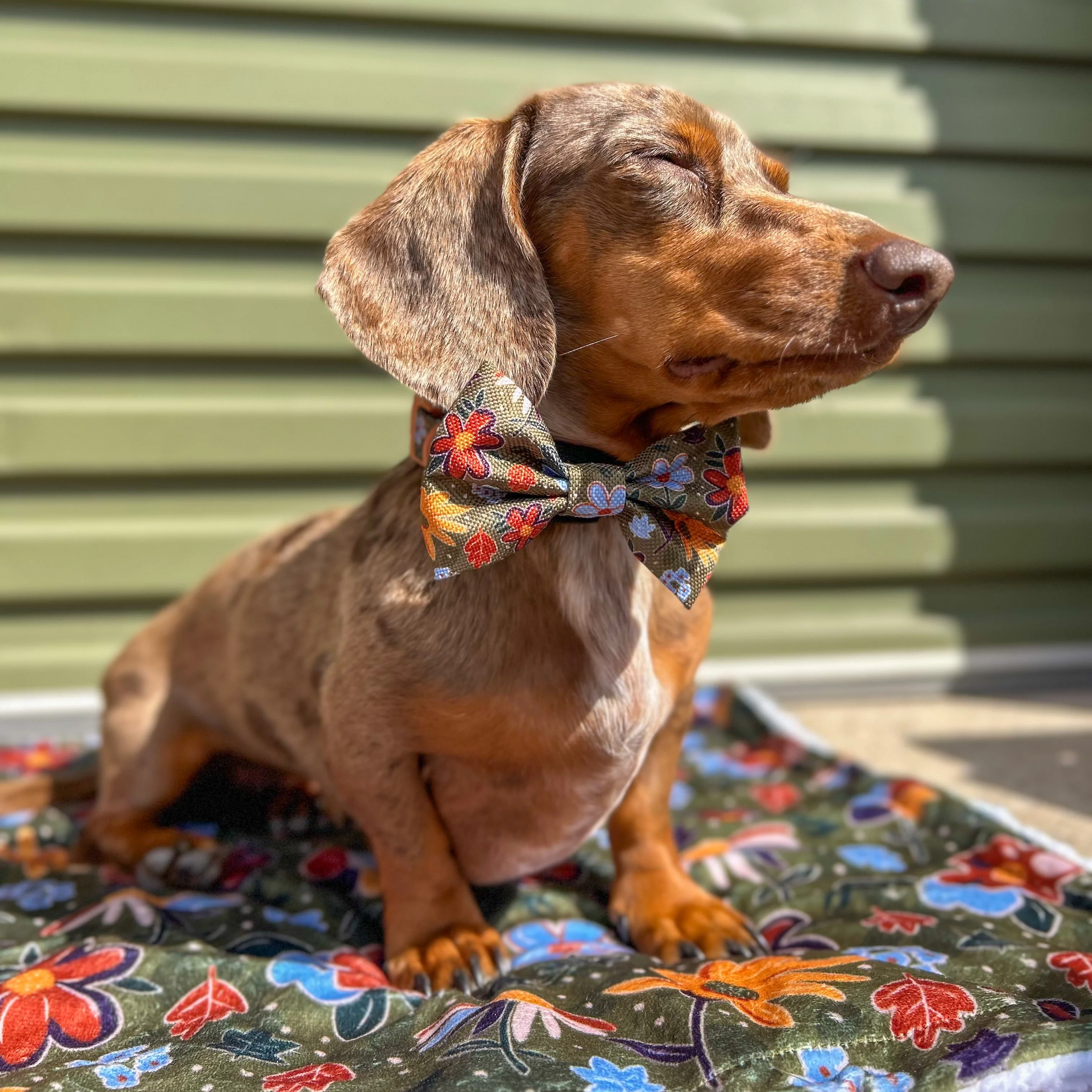 Bow Tie - Rust & Bloom - Image 7