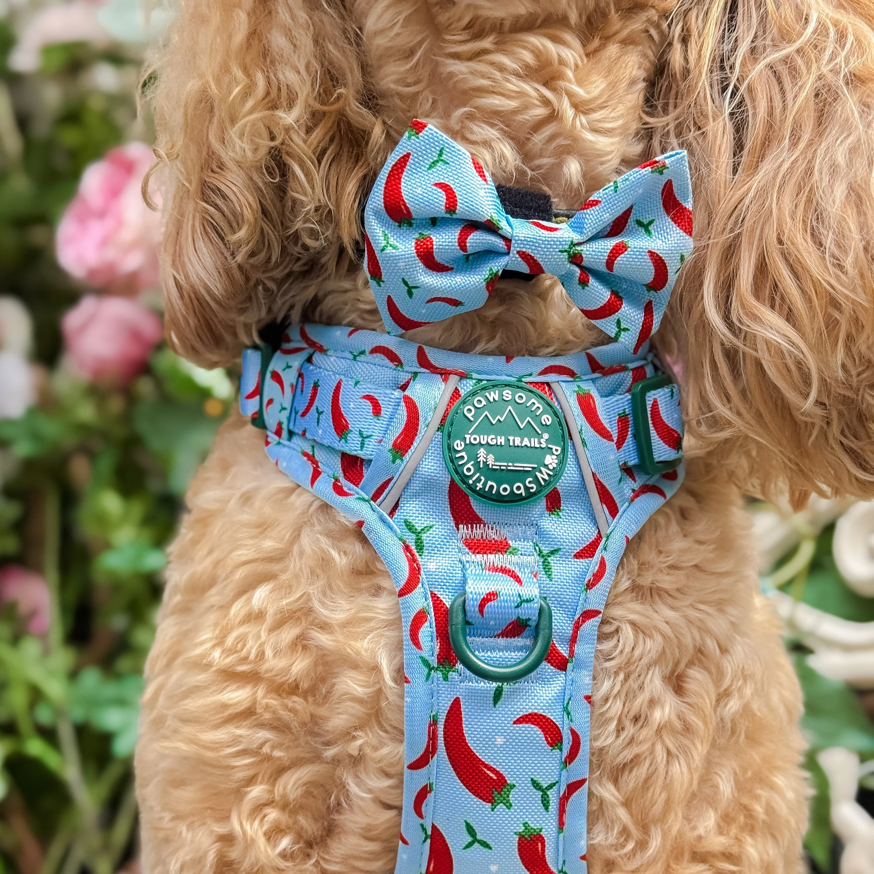 Bow Tie - Stay Spicy - Image 9