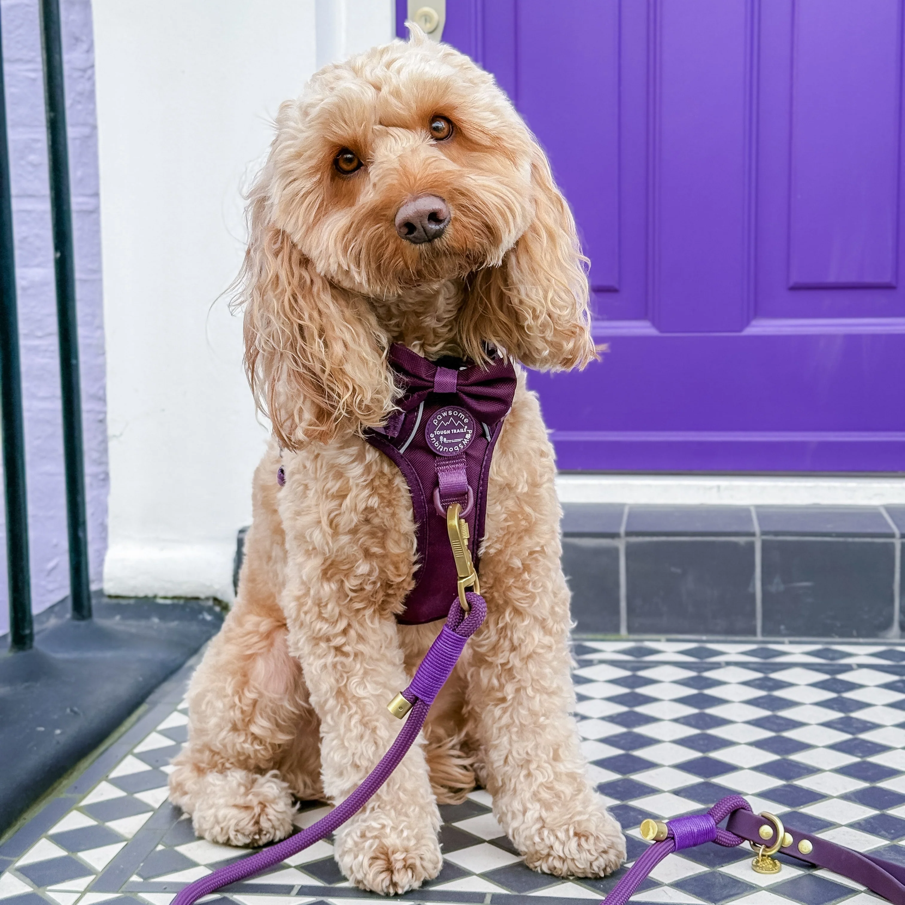 Bow Tie - Walkies Ready® - Plum - Image 10