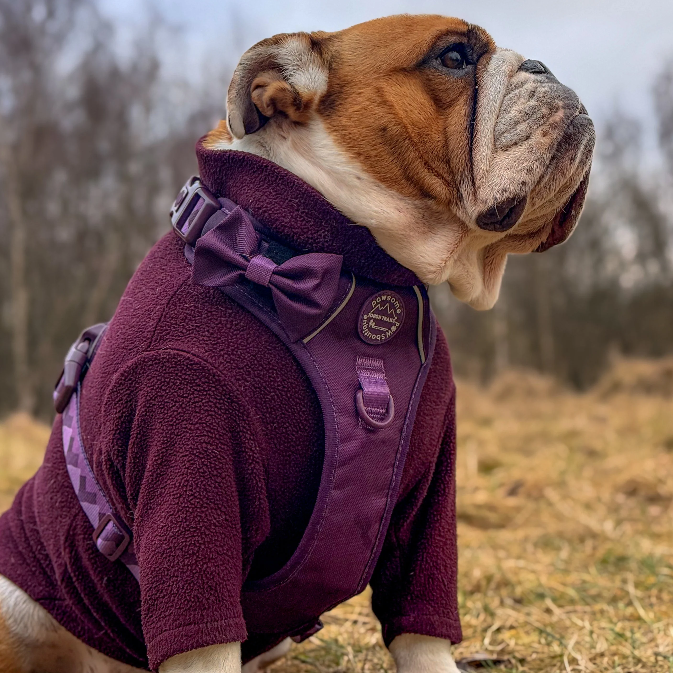 Bow Tie - Walkies Ready® - Plum - Image 4