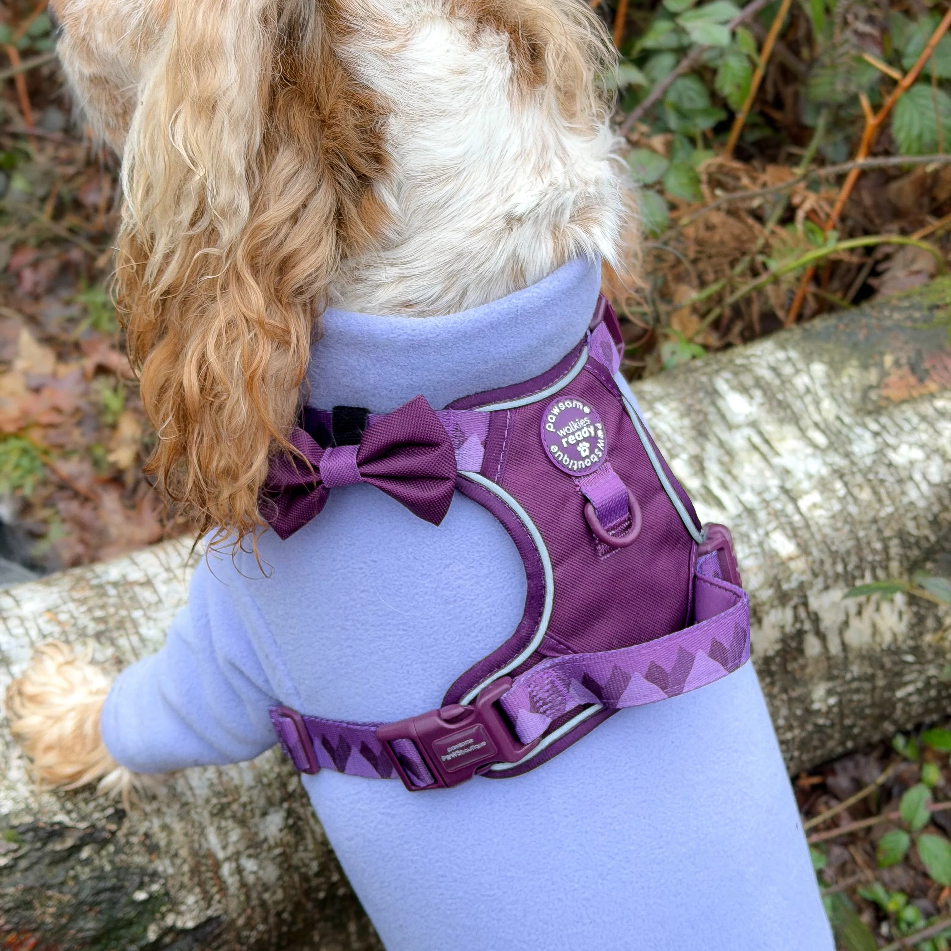 Bow Tie - Walkies Ready® - Plum - Image 6